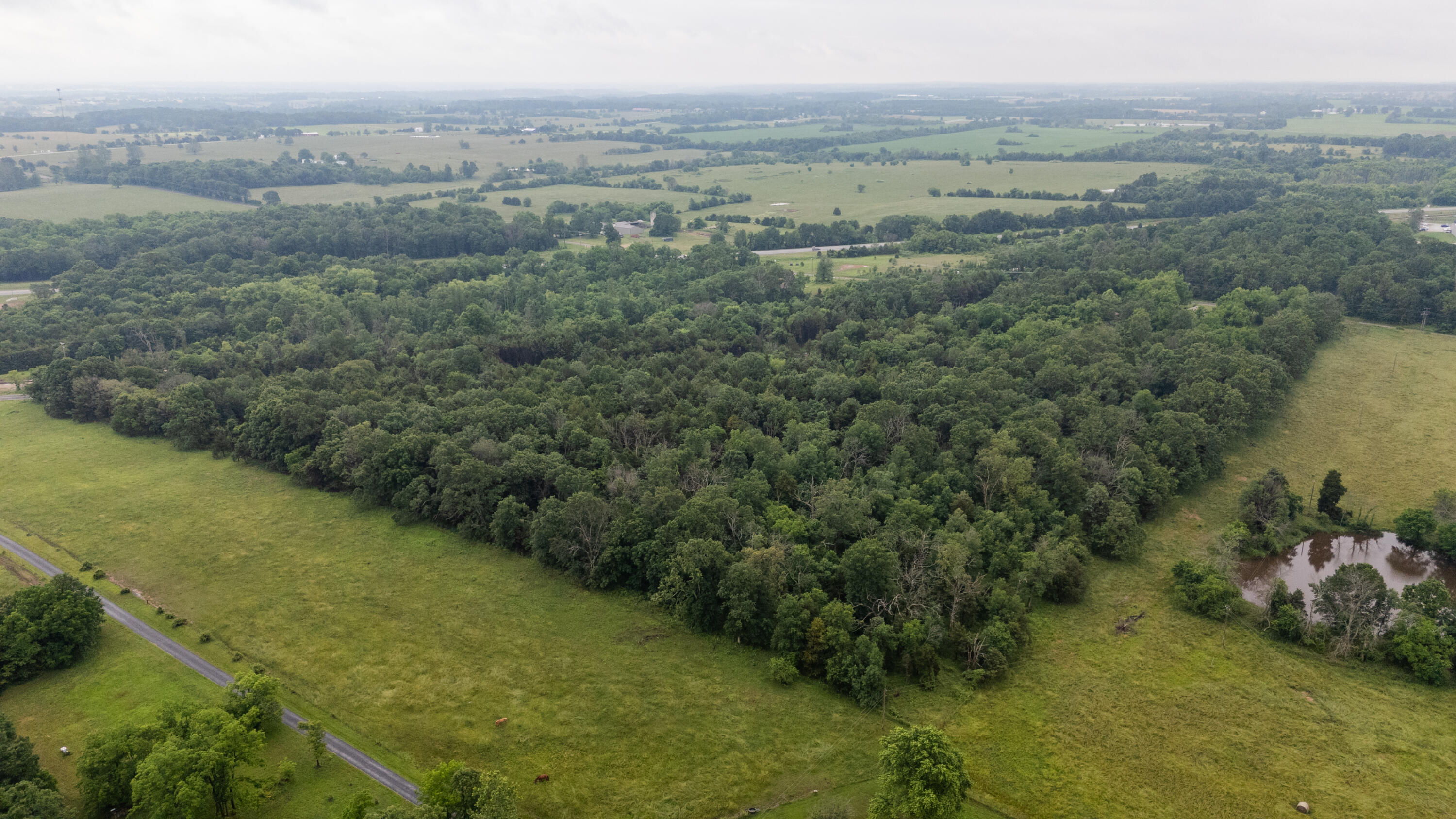 Photo 15 - Land for sale – 000  Vermule Road  Billings, MO