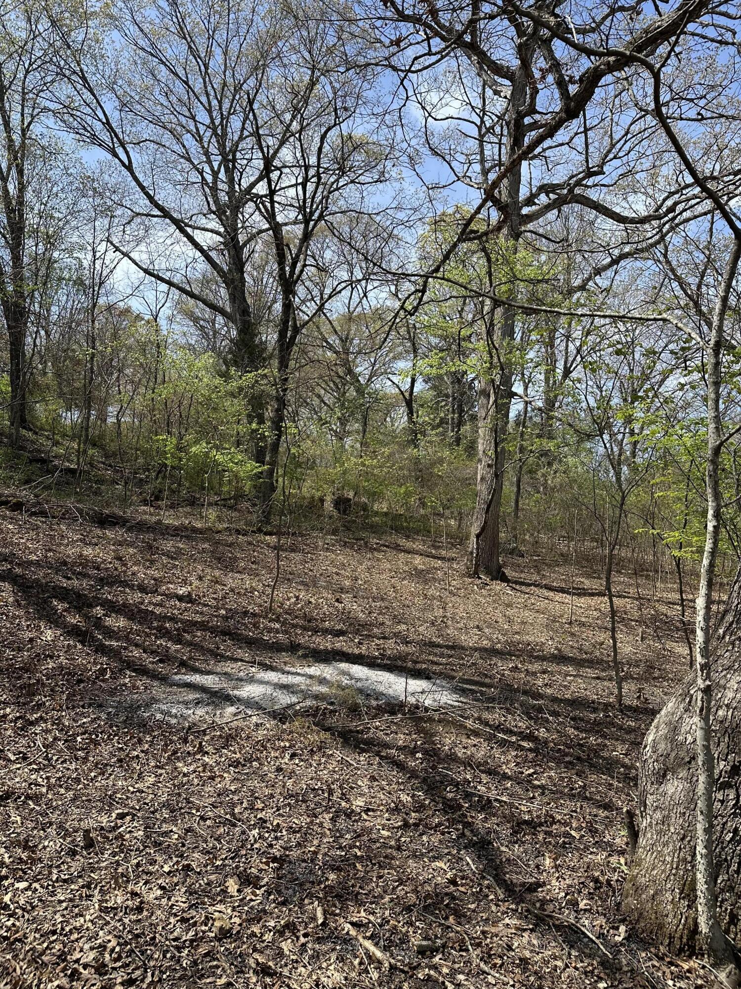 Photo 5 - Land for sale – Lot 75  Country Lane   Blue Eye, MO