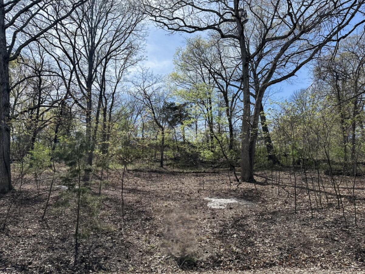 Photo 2 - Land for sale – Lot 75  Country Lane   Blue Eye, MO