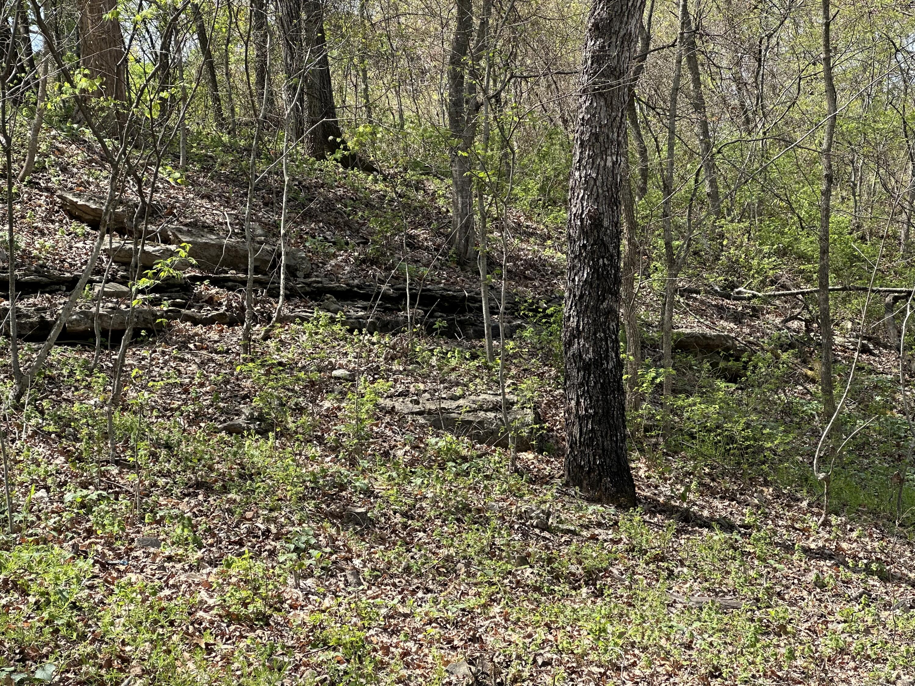 Photo 4 - Land for sale – Lot 75  Country Lane   Blue Eye, MO