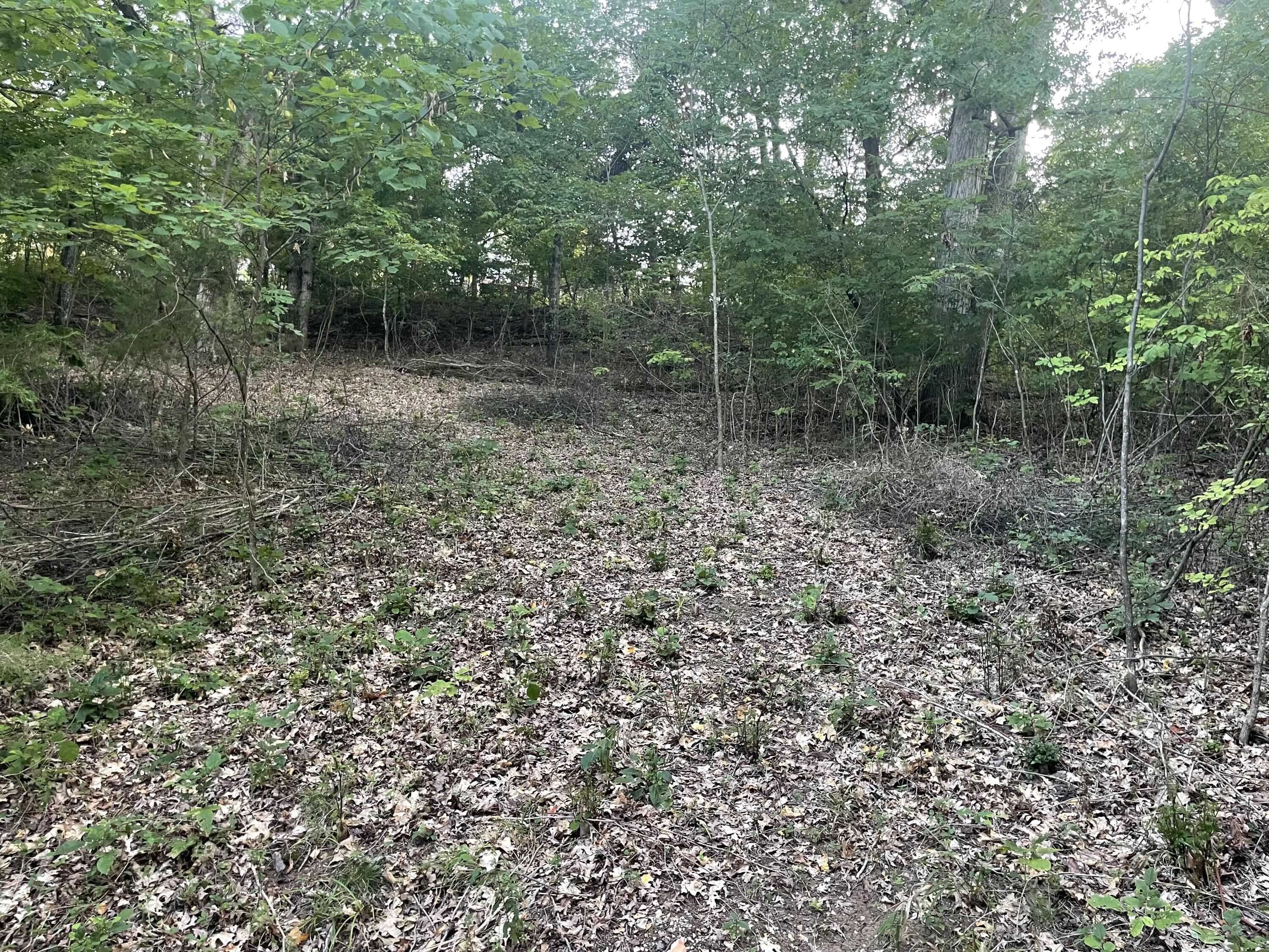 Photo 3 - Land for sale – Lot 75  Country Lane   Blue Eye, MO