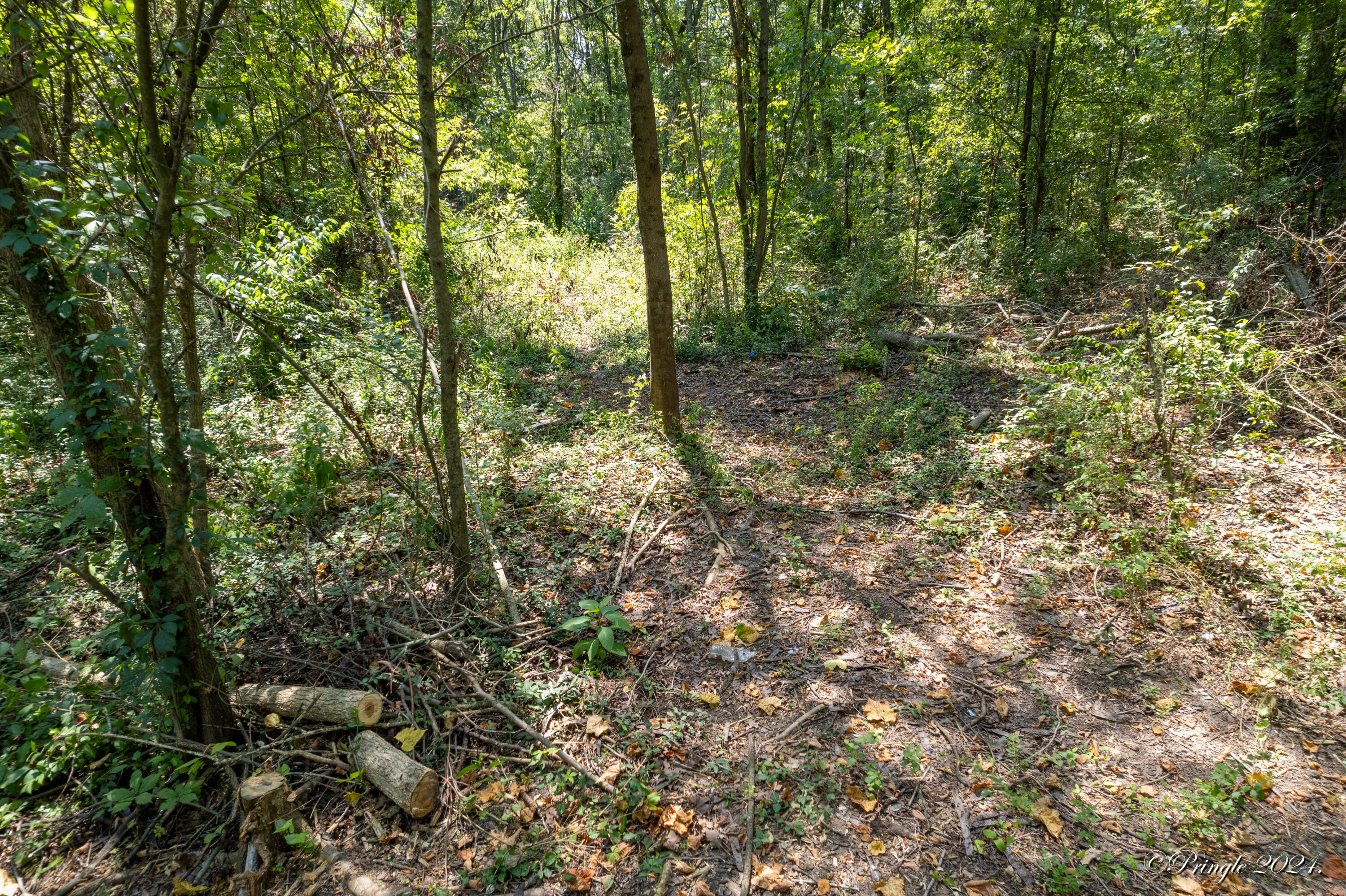 Photo 8 - Land for sale – 000  Thayer   West Plains, MO
