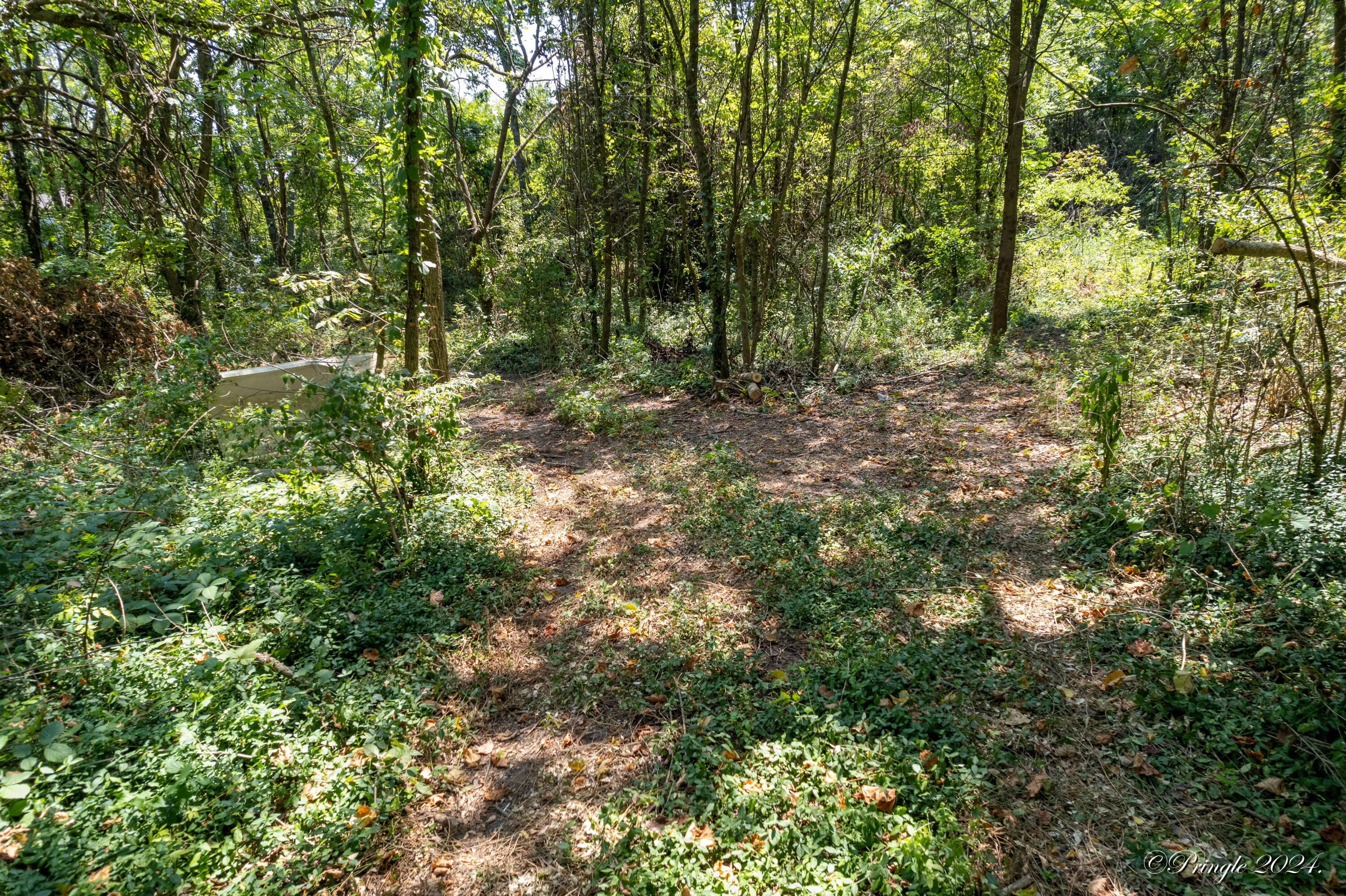 Photo 7 - Land for sale – 000  Thayer   West Plains, MO