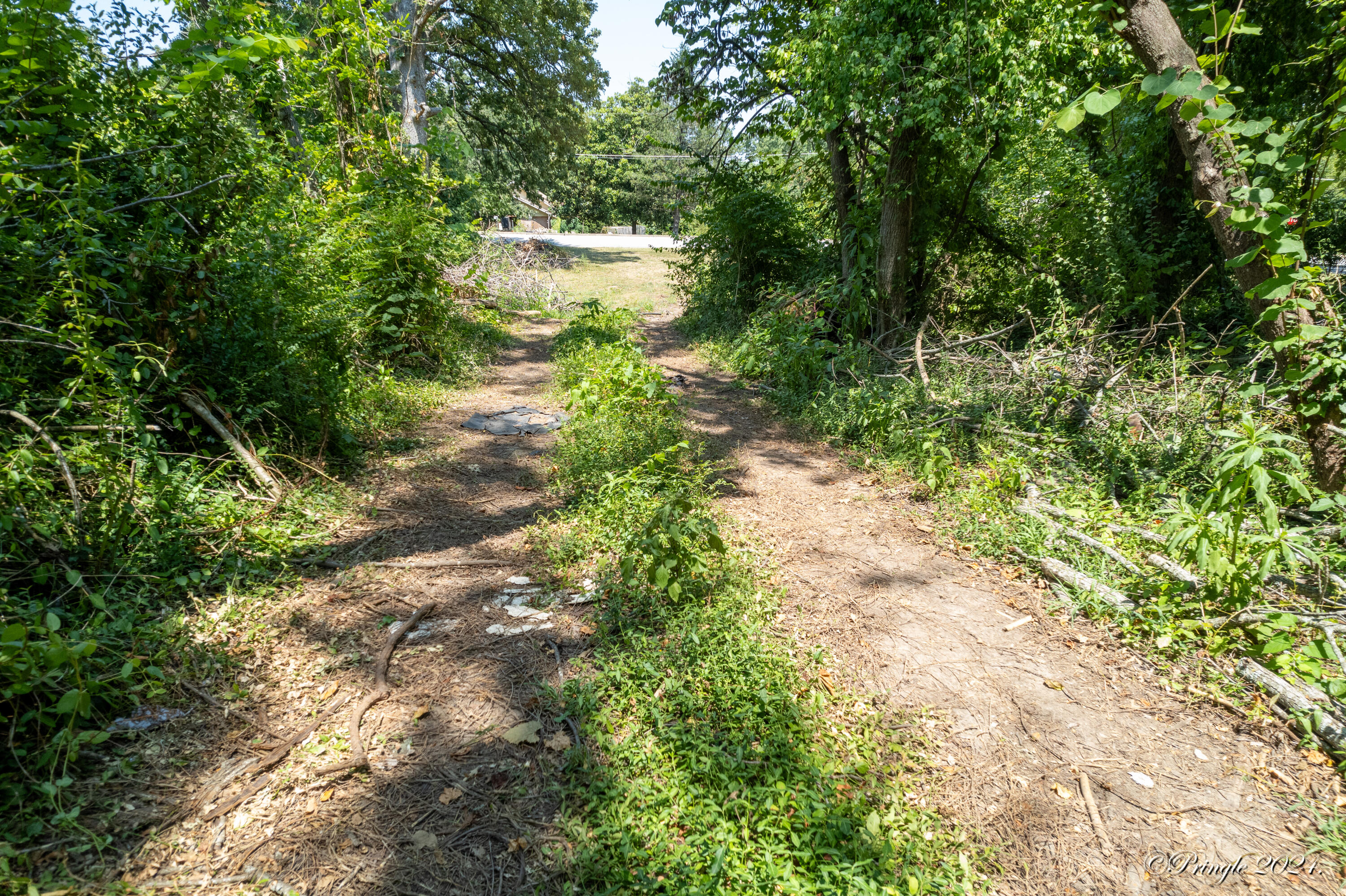 Photo 9 - Land for sale – 000  Thayer   West Plains, MO
