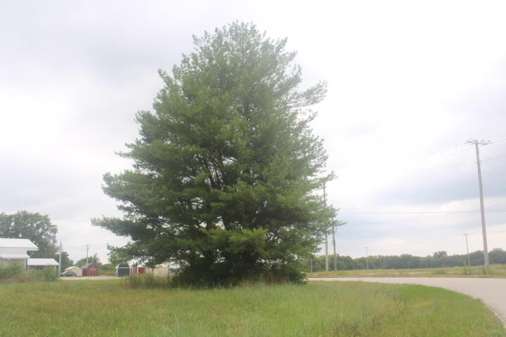 Photo 7 - Land for sale – 000  Lot 1  Prairie Lane   Bolivar, MO