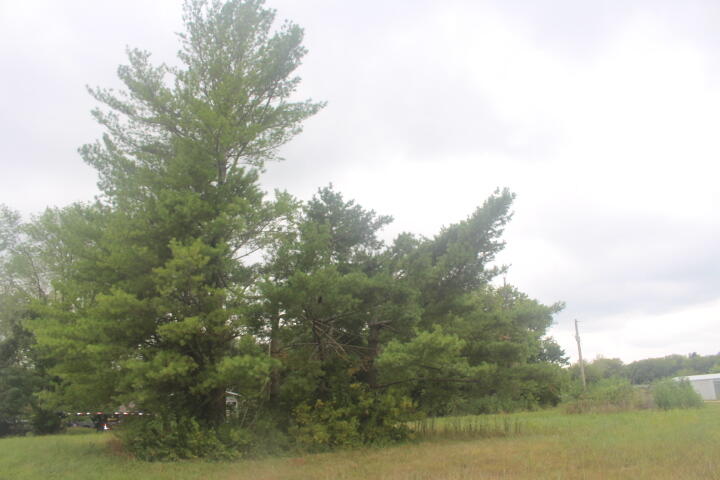Photo 4 - Land for sale – 000  Lot 1  Prairie Lane   Bolivar, MO