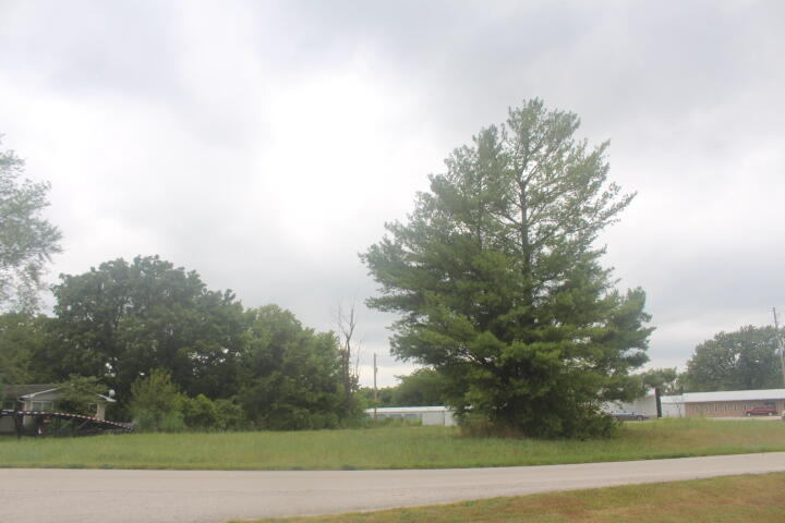 Photo 5 - Land for sale – 000  Lot 1  Prairie Lane   Bolivar, MO