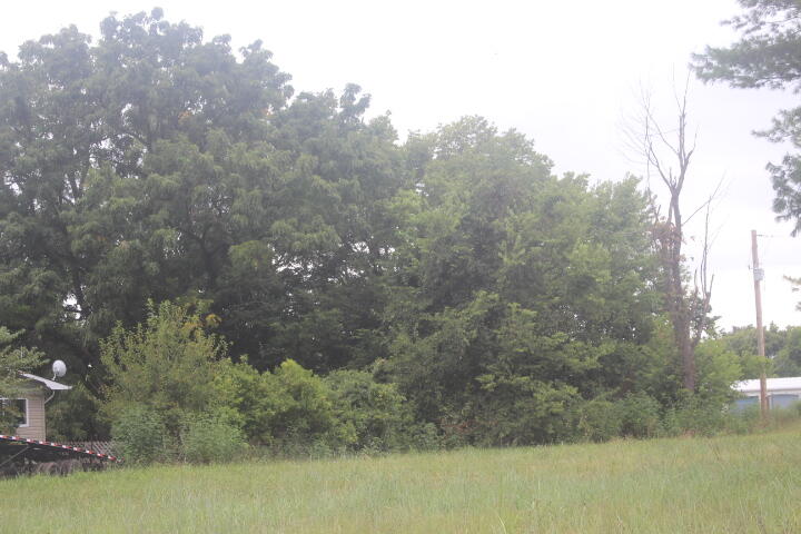 Photo 6 - Land for sale – 000  Lot 1  Prairie Lane   Bolivar, MO