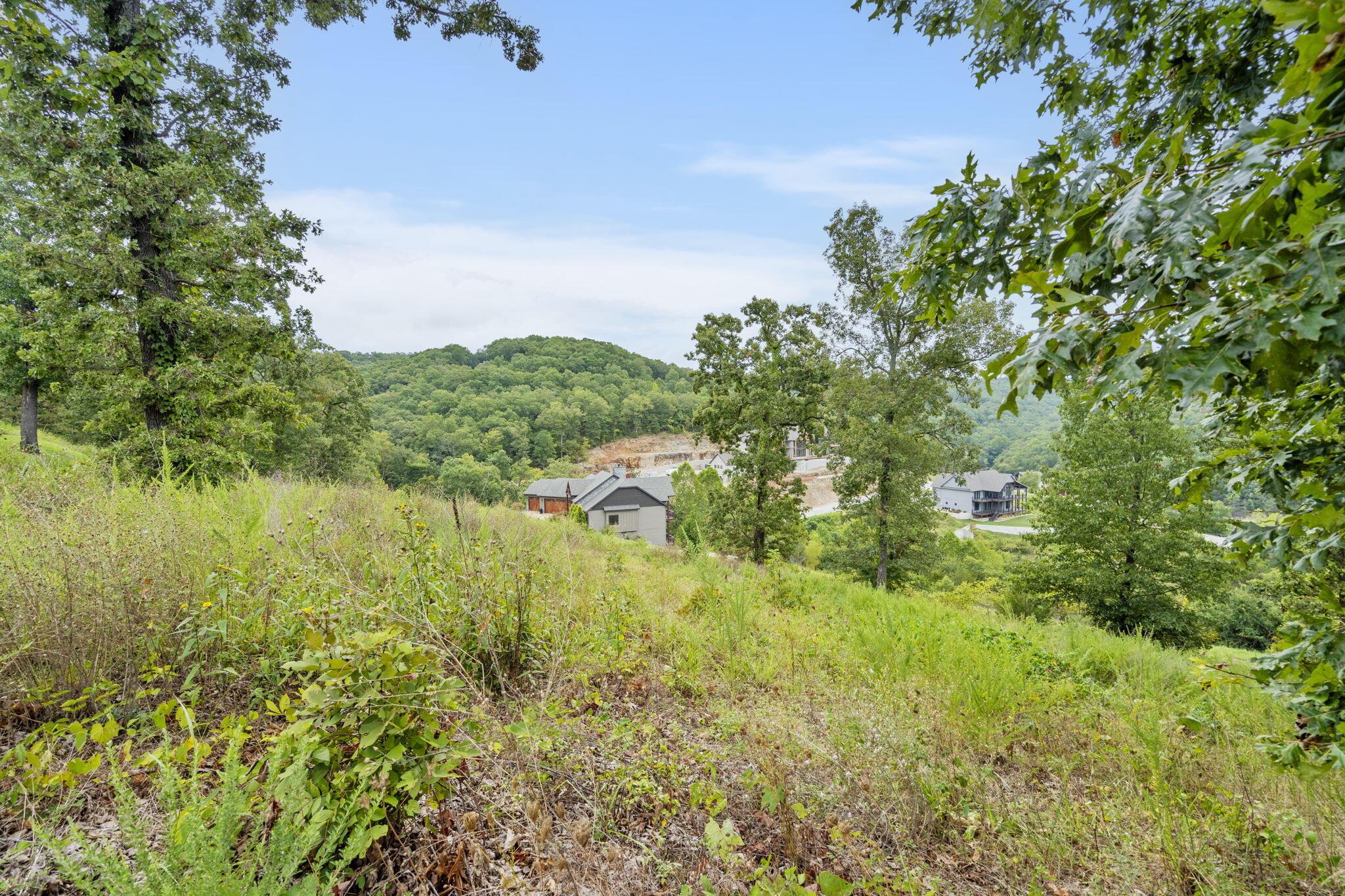 Photo 7 - Land for sale – Lot 94b  Pinnacle Shores   Lampe, MO