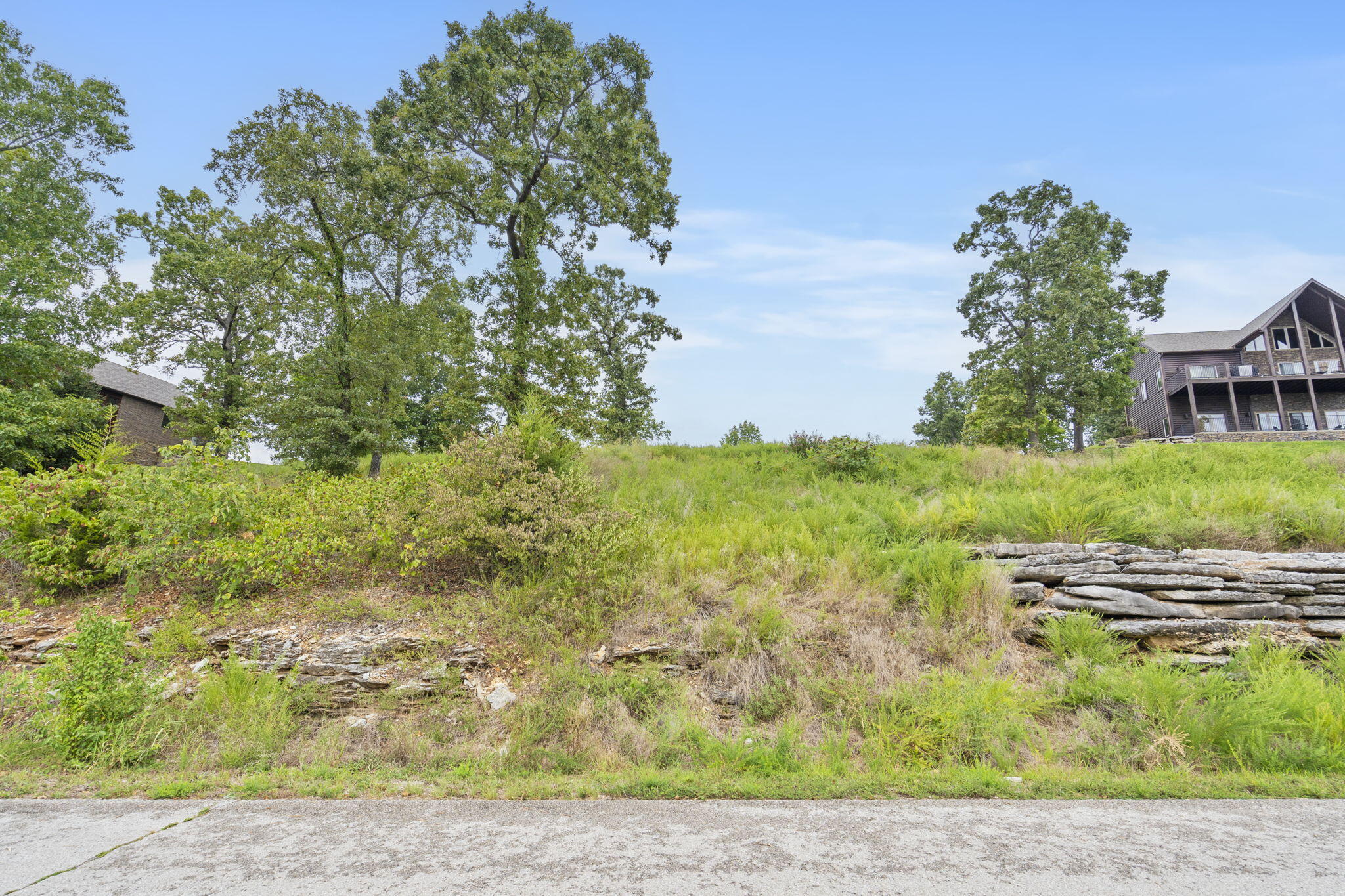 Photo 6 - Land for sale – Lot 94b  Pinnacle Shores   Lampe, MO