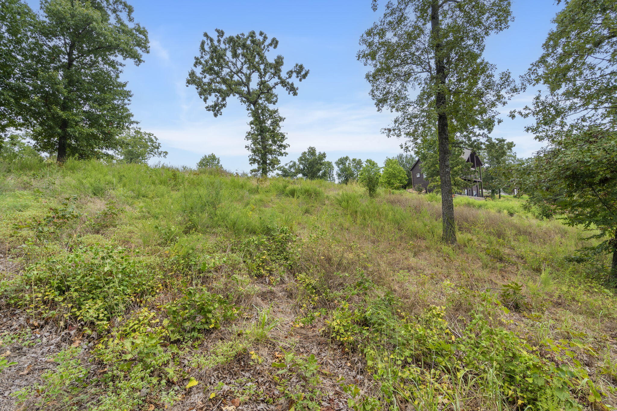 Photo 8 - Land for sale – Lot 94b  Pinnacle Shores   Lampe, MO