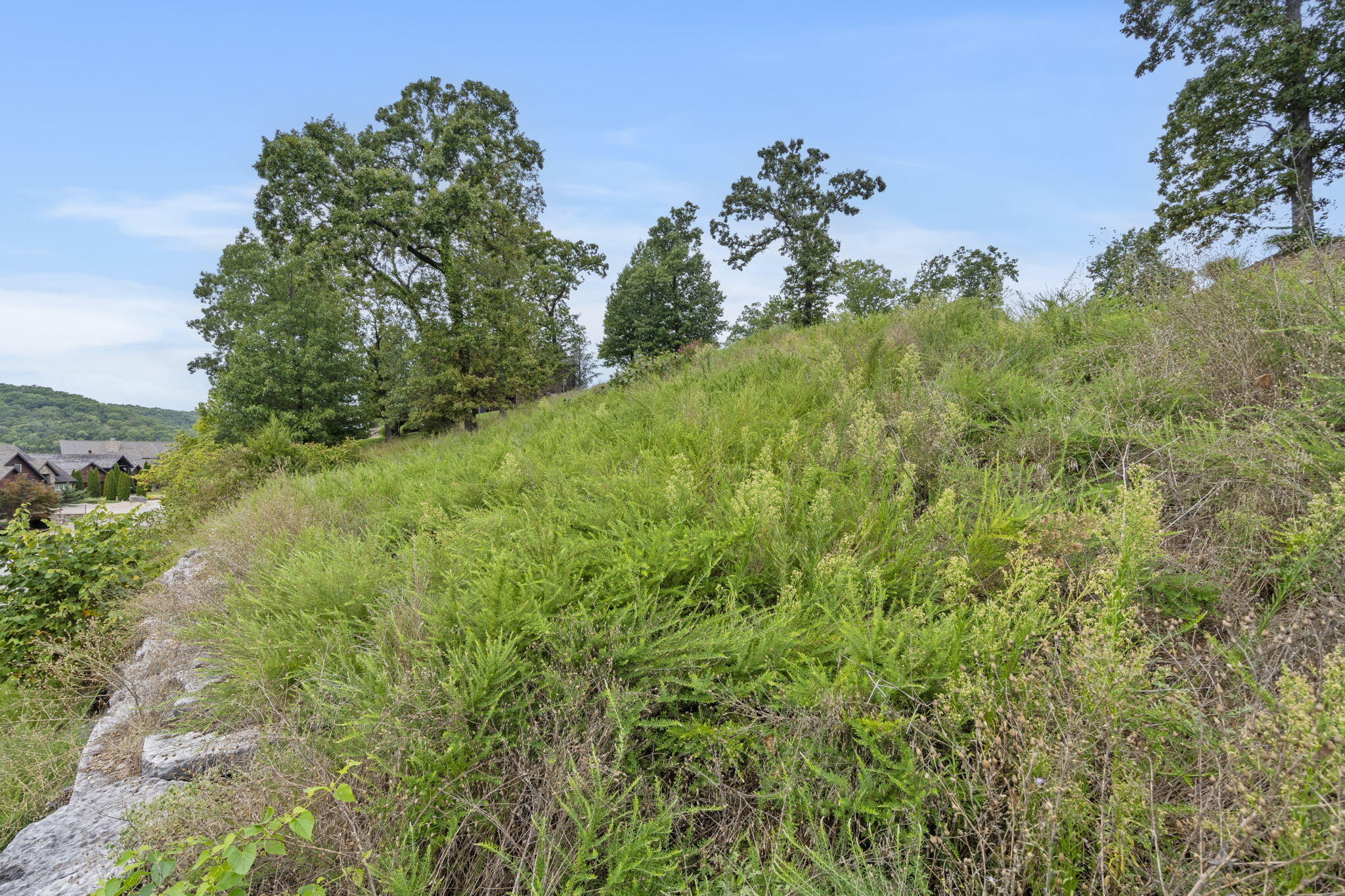 Photo 9 - Land for sale – Lot 94b  Pinnacle Shores   Lampe, MO