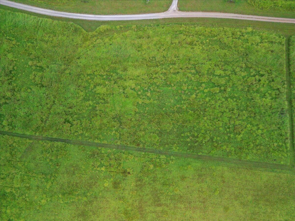Photo 10 - Land for sale – 000  Northfork Village Road   Tecumseh, MO
