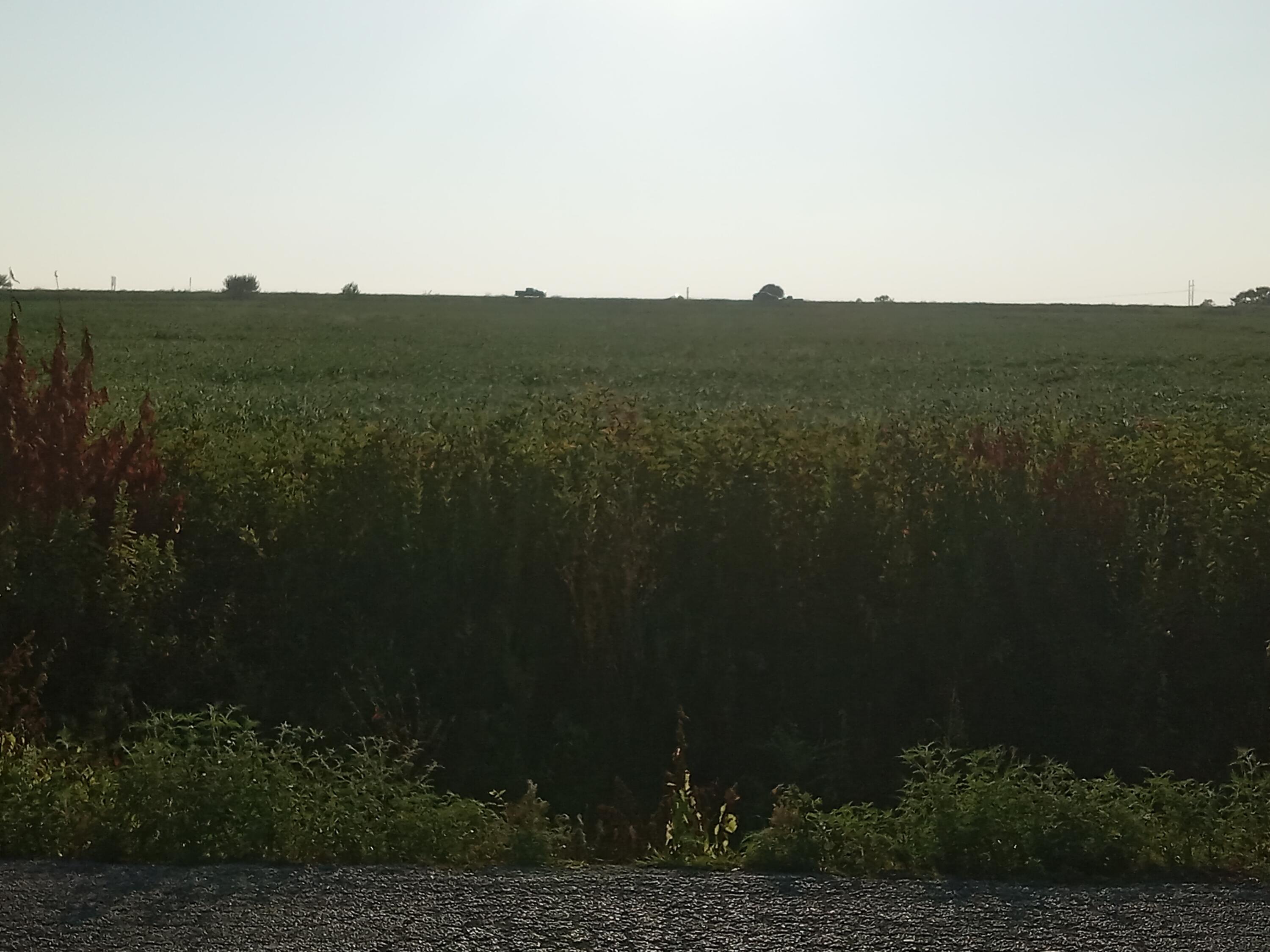 Photo 30 - Commercial Sale for sale – 12229  Hammer Road  Neosho, MO