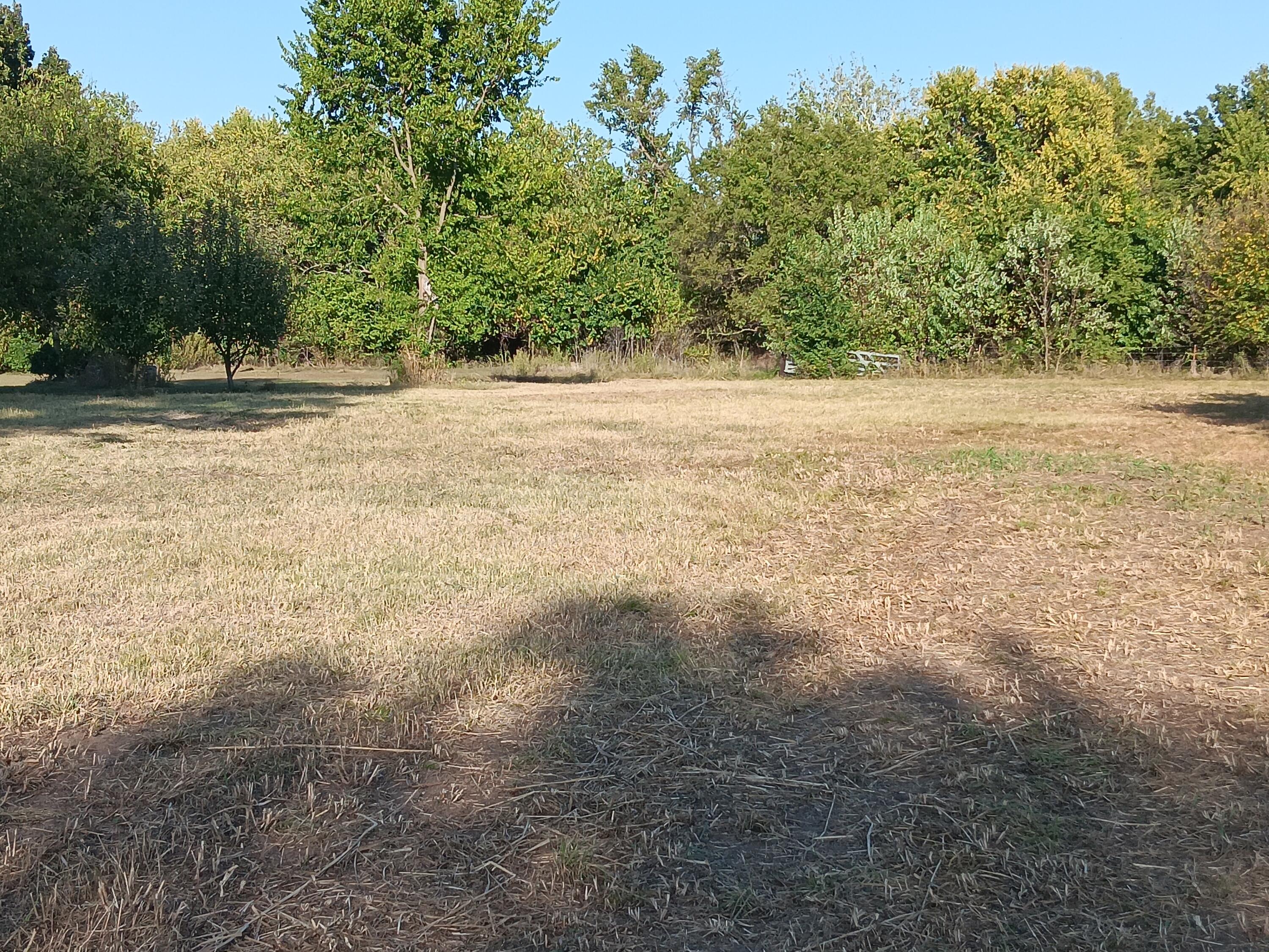 Photo 21 - Commercial Sale for sale – 12229  Hammer Road  Neosho, MO