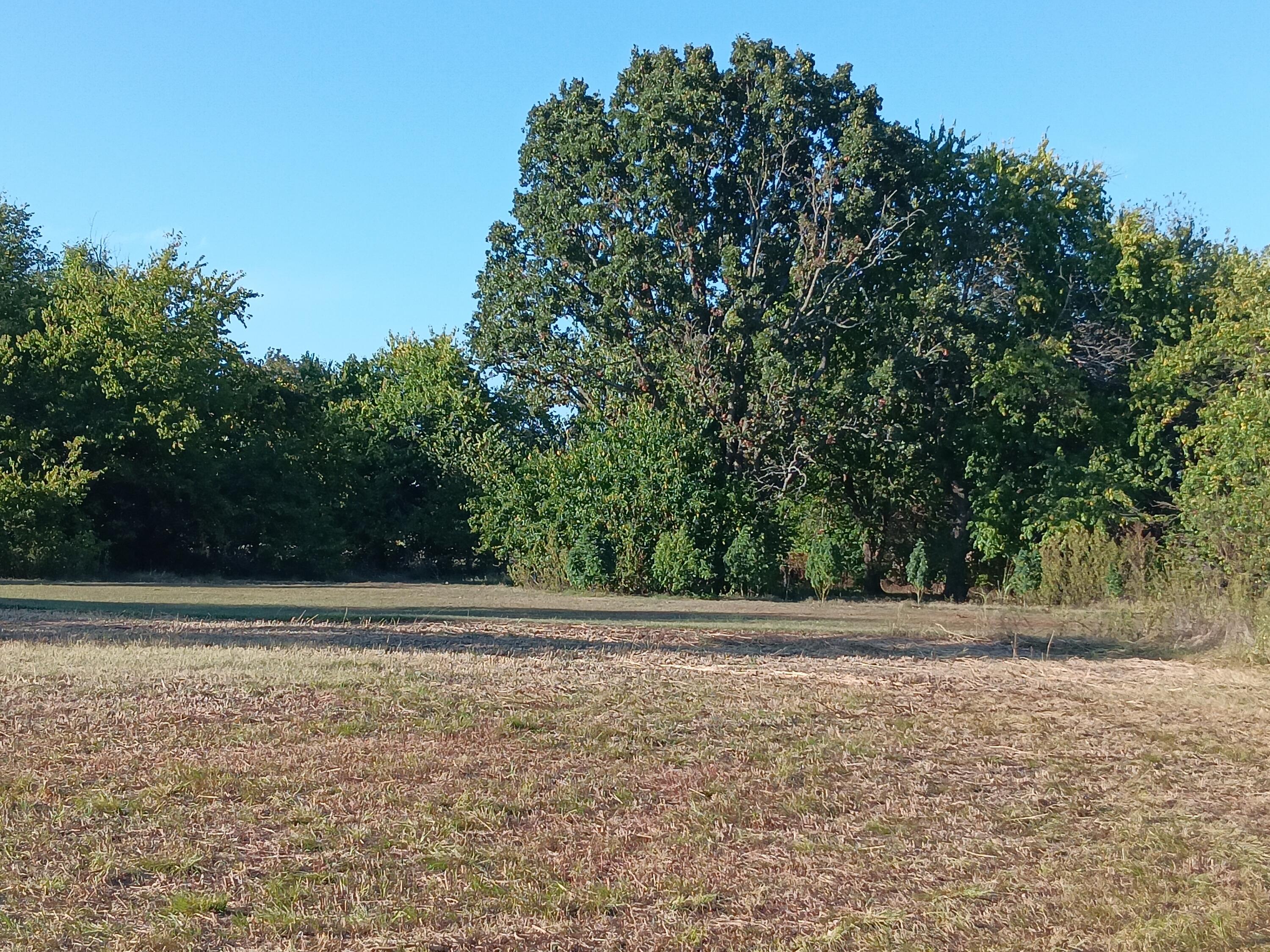 Photo 20 - Commercial Sale for sale – 12229  Hammer Road  Neosho, MO
