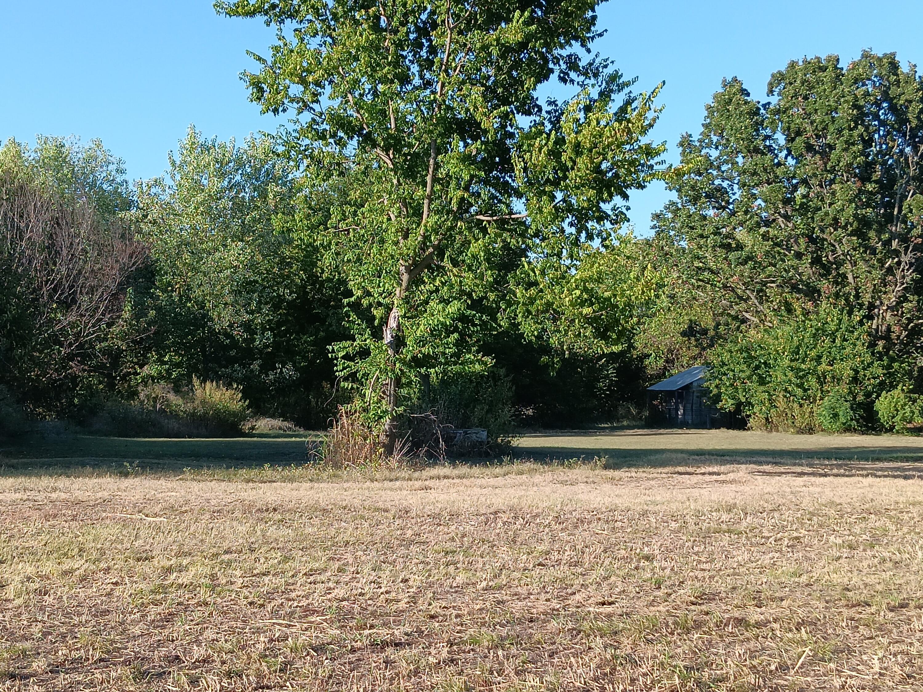 Photo 19 - Commercial Sale for sale – 12229  Hammer Road  Neosho, MO