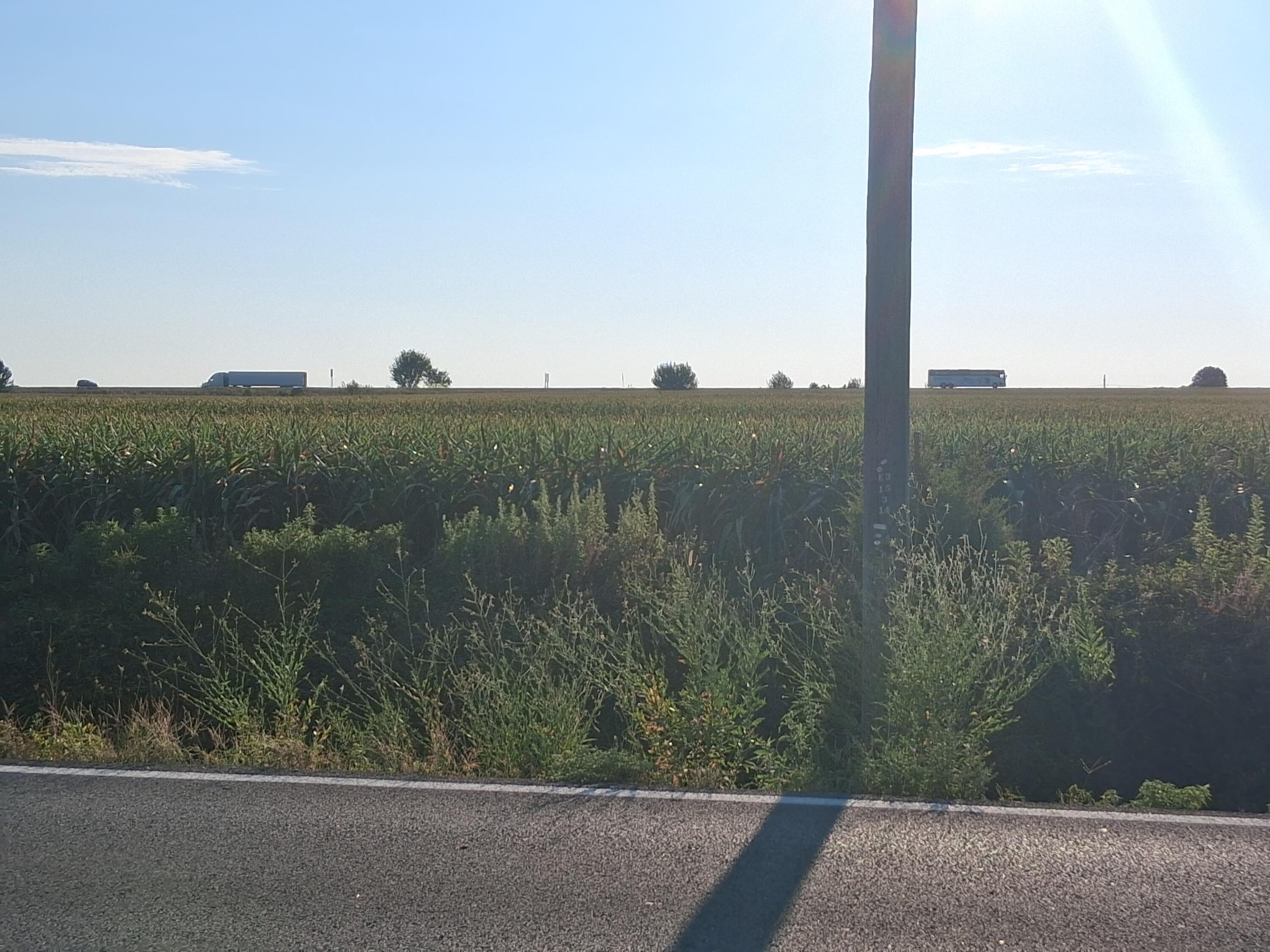 Photo 28 - Commercial Sale for sale – 12229  Hammer Road  Neosho, MO