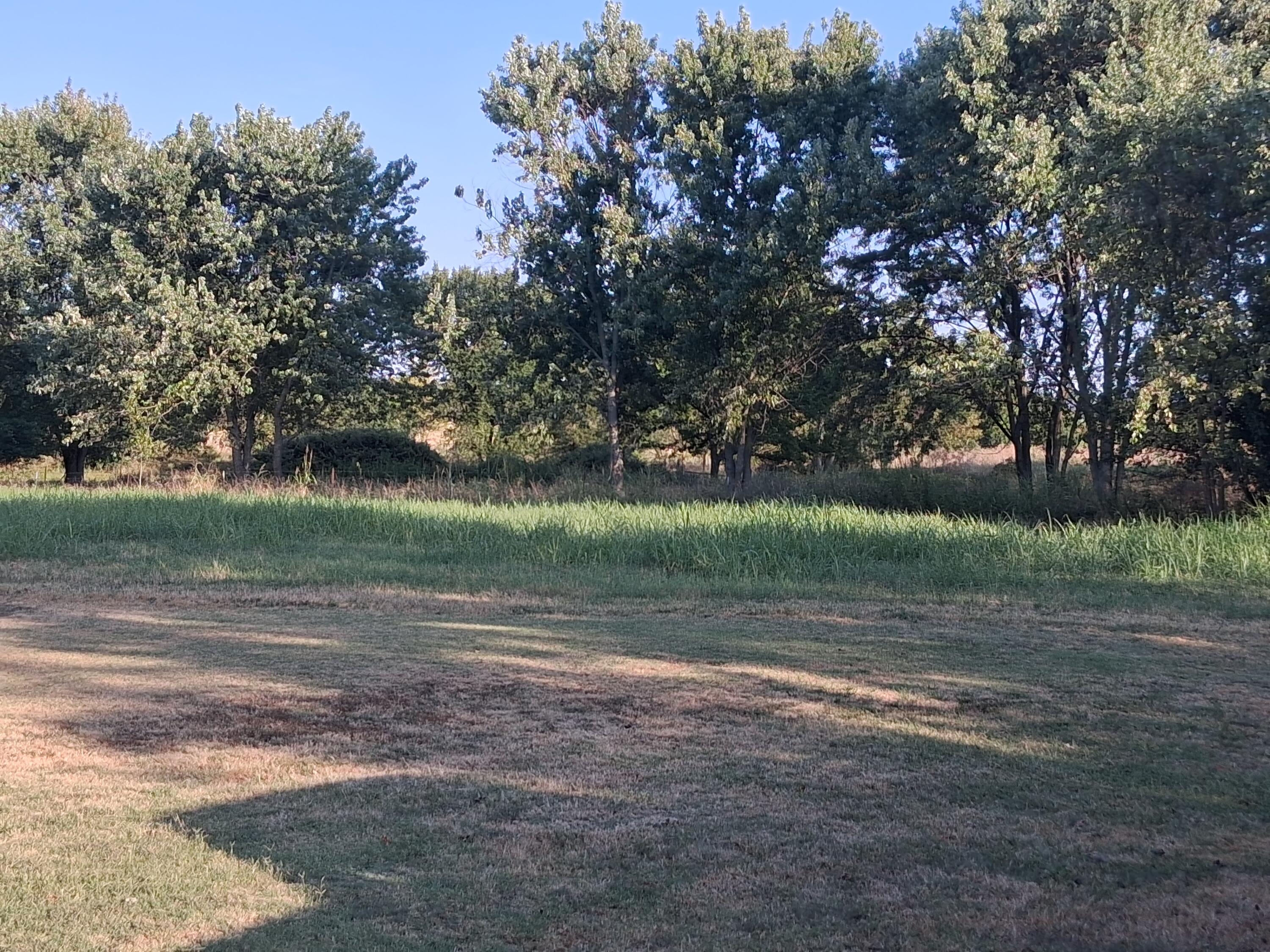 Photo 9 - Commercial Sale for sale – 12229  Hammer Road  Neosho, MO