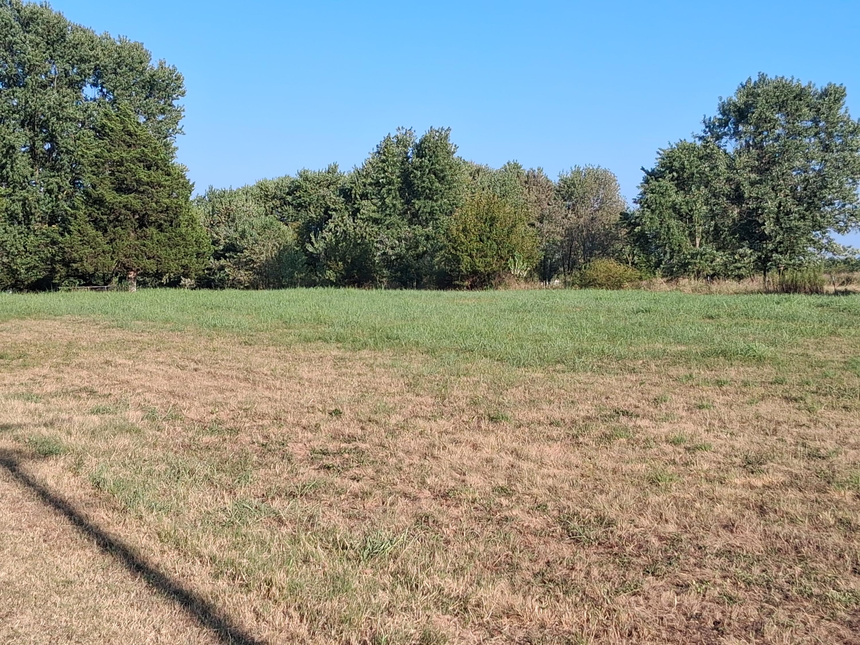 Photo 7 - Commercial Sale for sale – 12229  Hammer Road  Neosho, MO