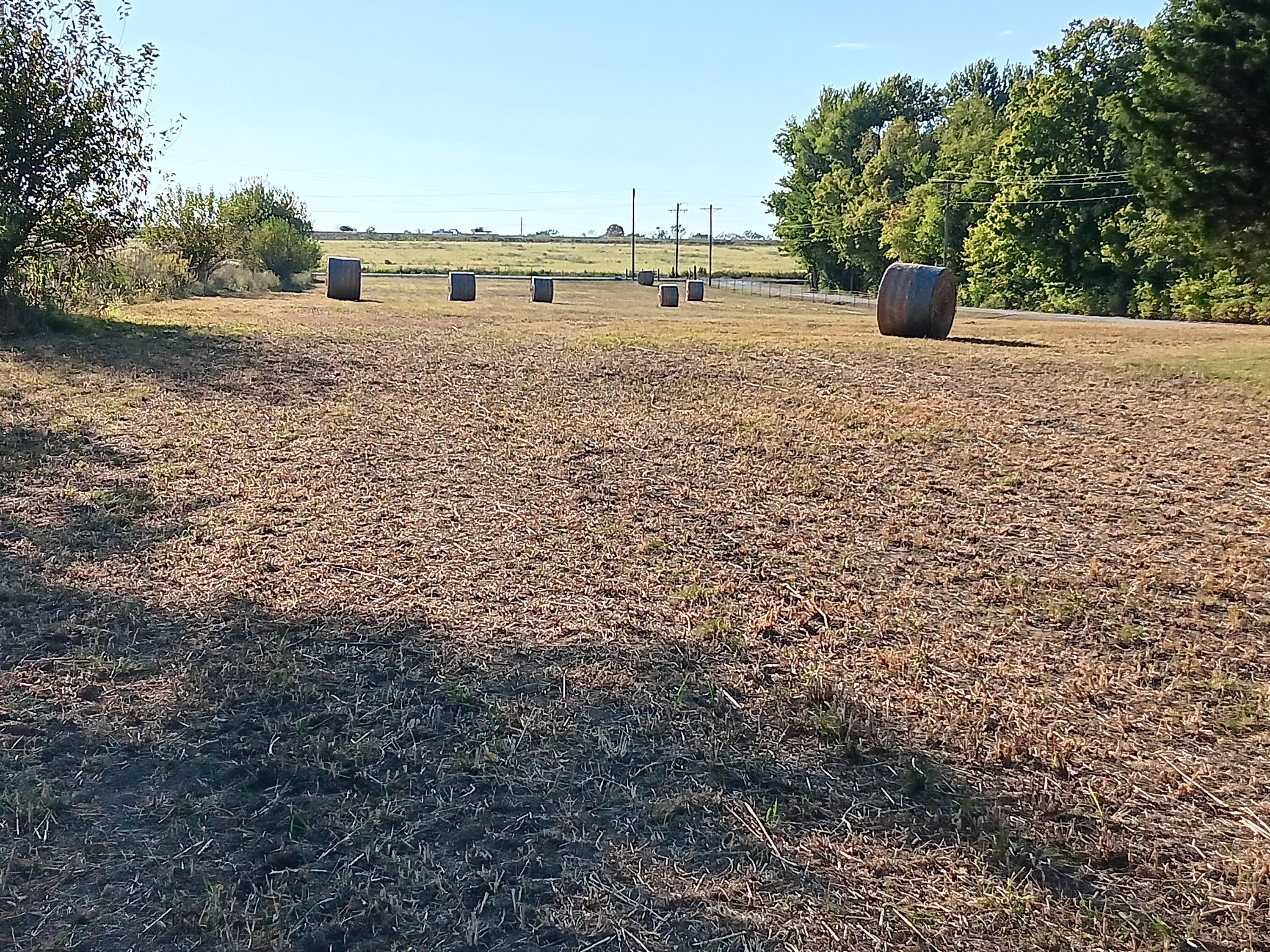 Photo 14 - Commercial Sale for sale – 12229  Hammer Road  Neosho, MO
