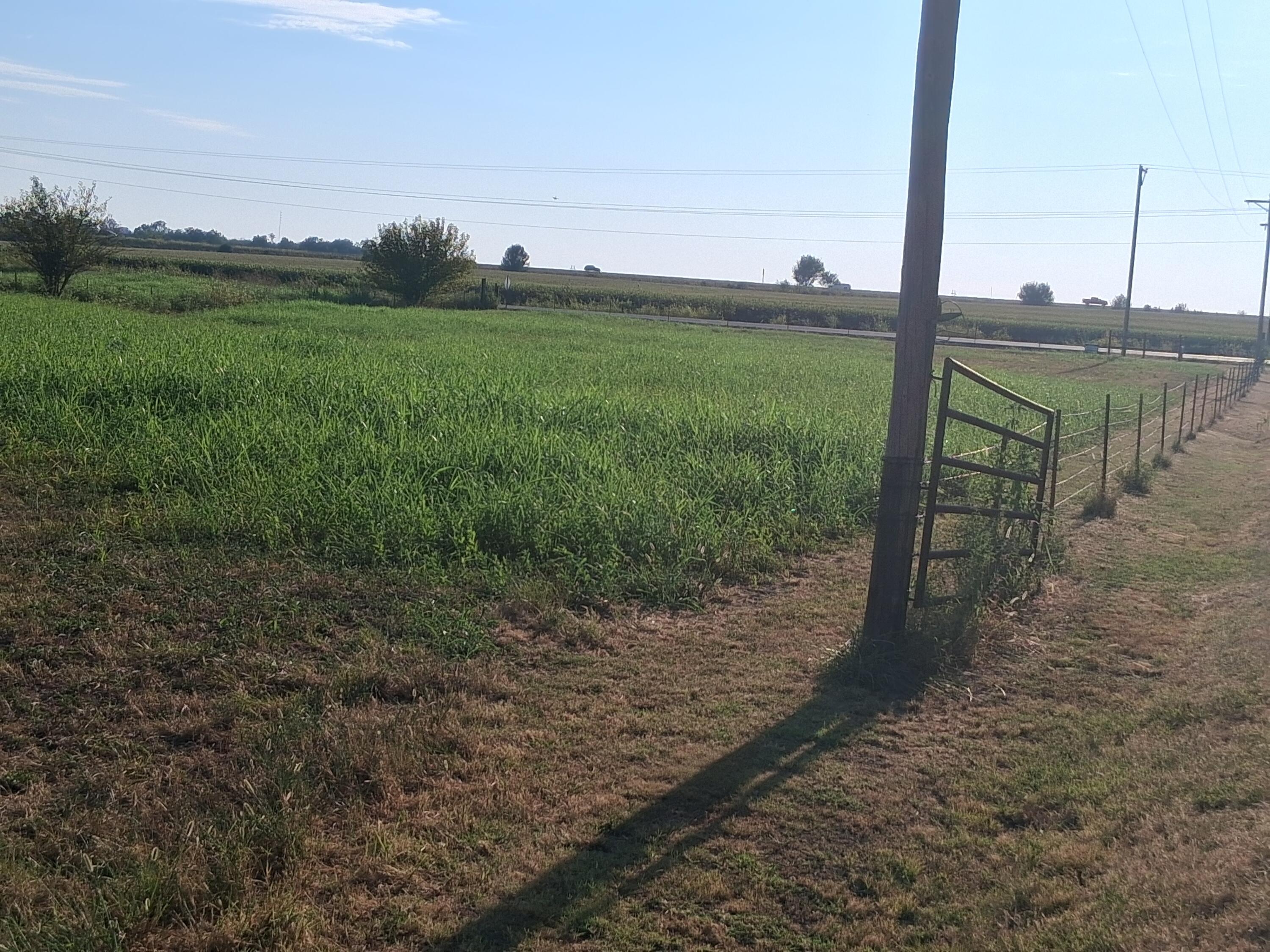 Photo 8 - Commercial Sale for sale – 12229  Hammer Road  Neosho, MO