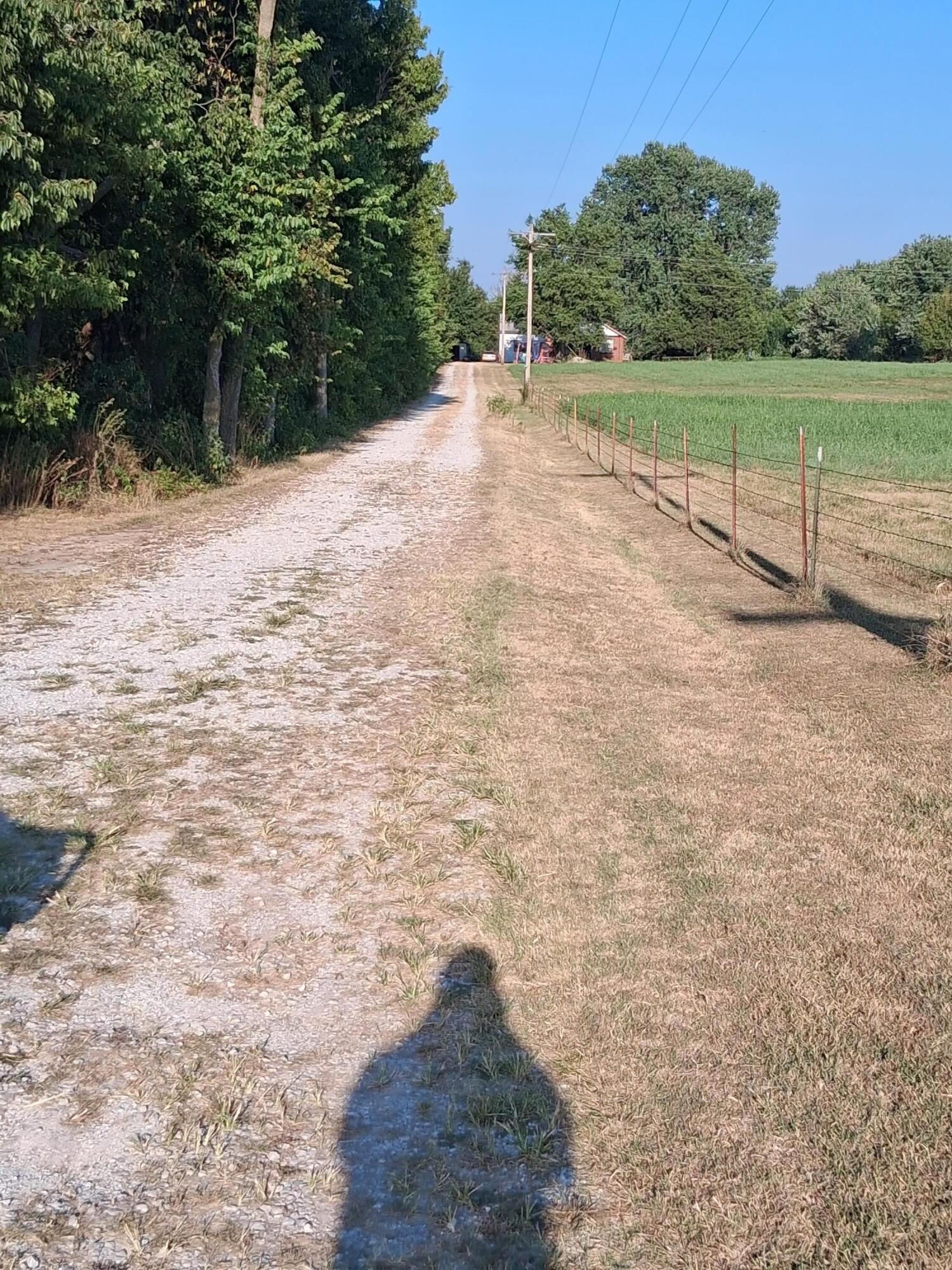 Photo 10 - Commercial Sale for sale – 12229  Hammer Road  Neosho, MO