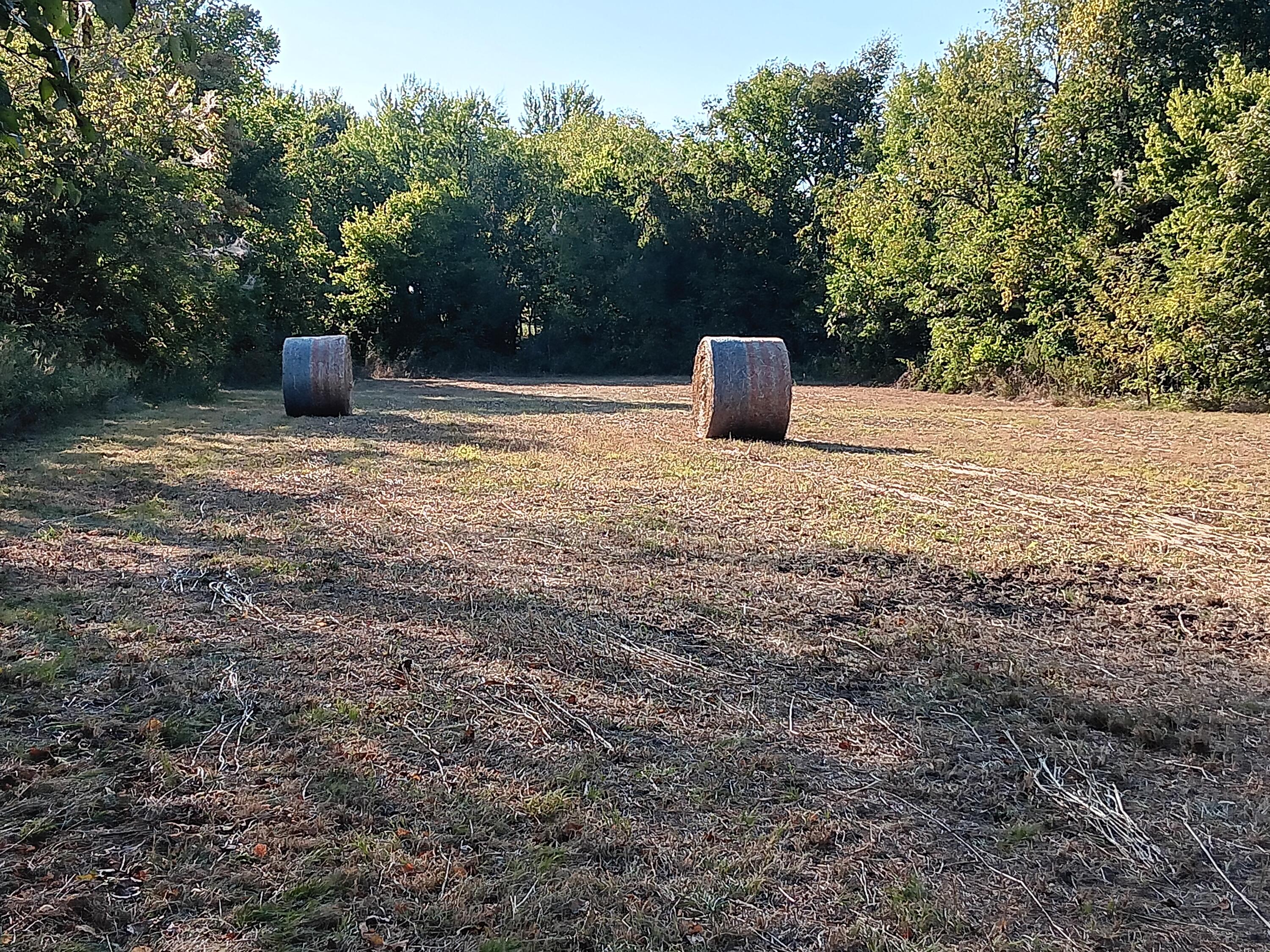 Photo 23 - Commercial Sale for sale – 12229  Hammer Road  Neosho, MO