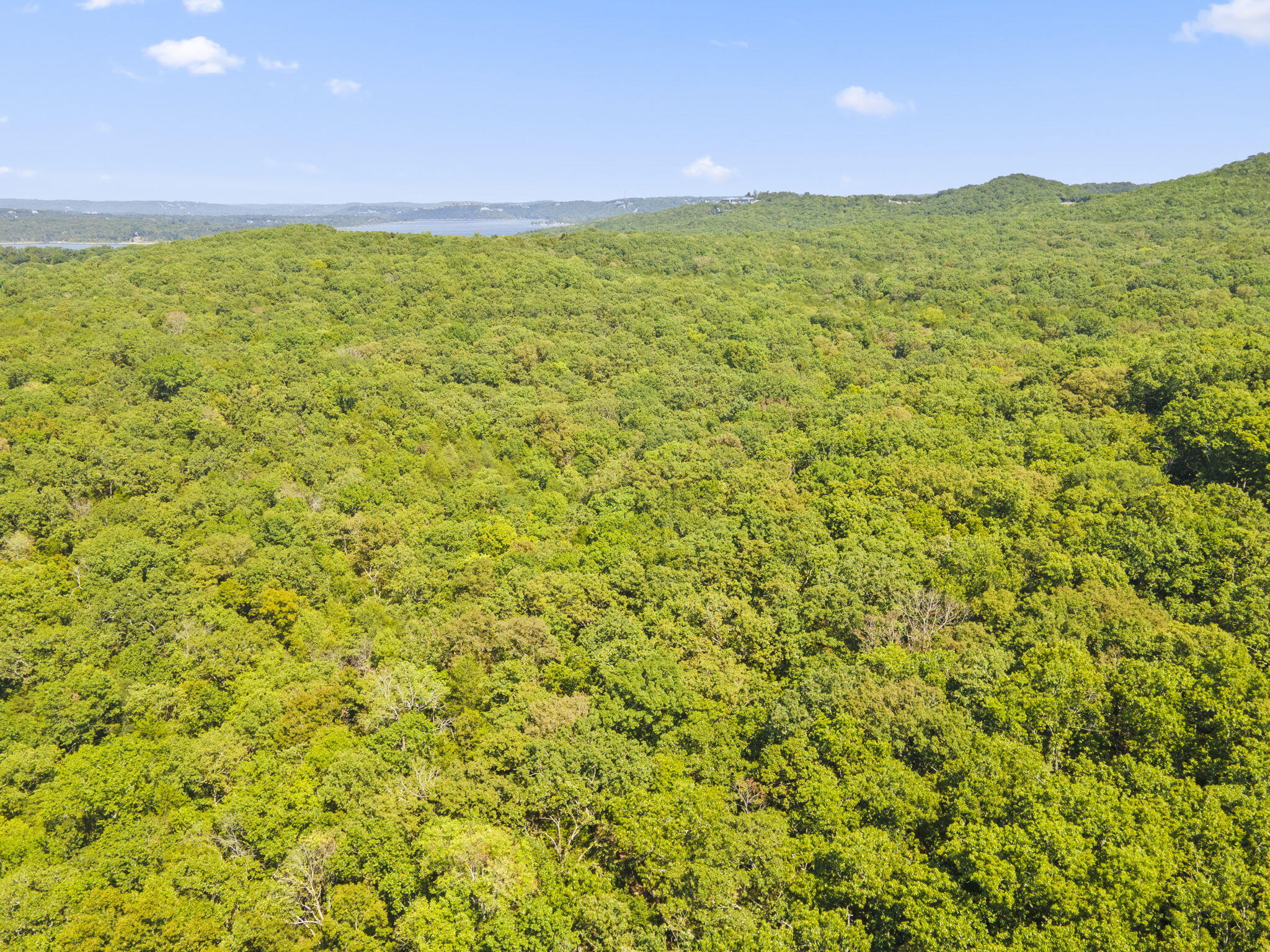 Photo 2 - Land for sale – 000  Falling Star Road  Lampe, MO