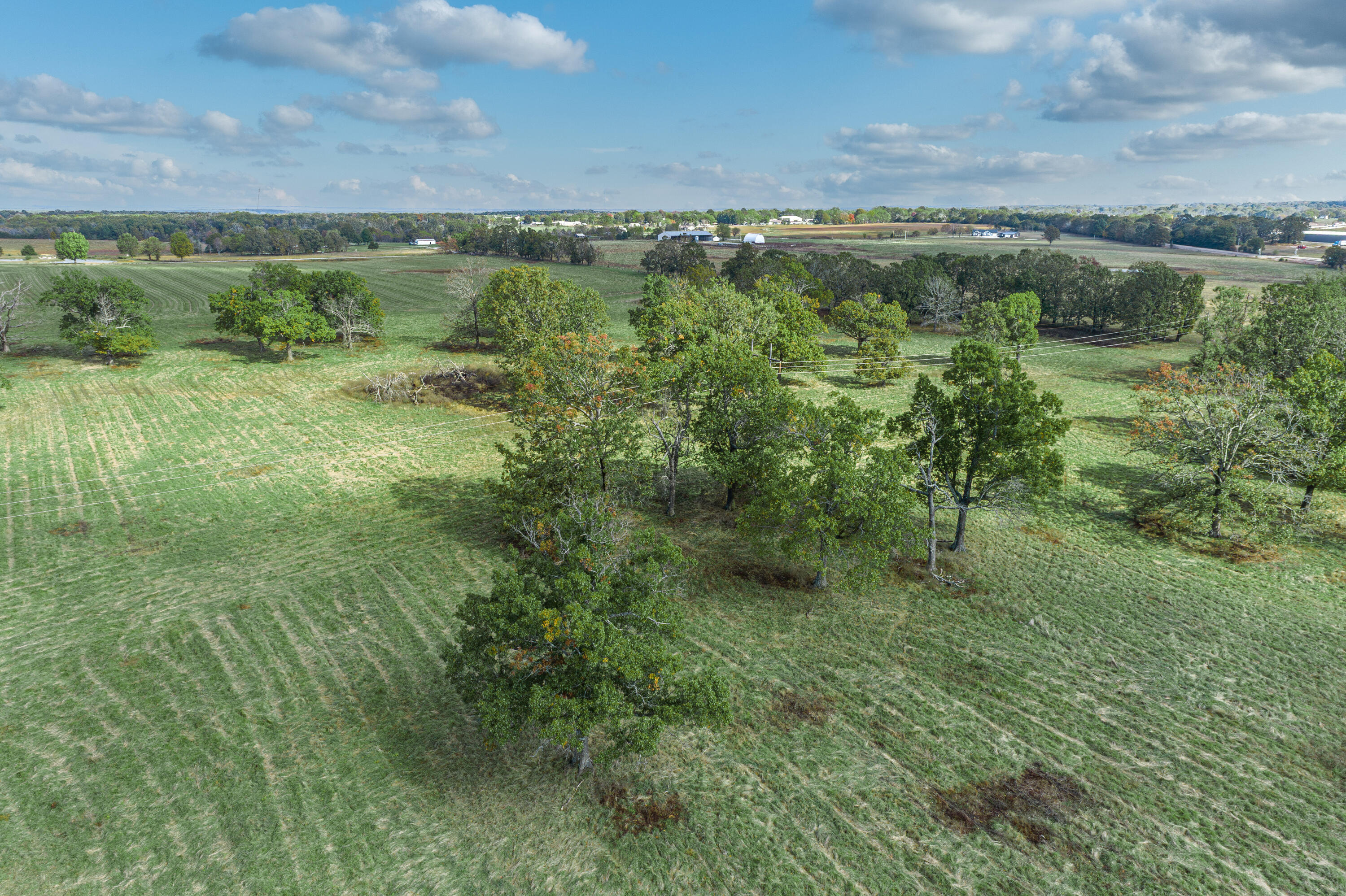 Photo 45 - Farm for sale – 2288  Red Oak Road  Fordland, MO