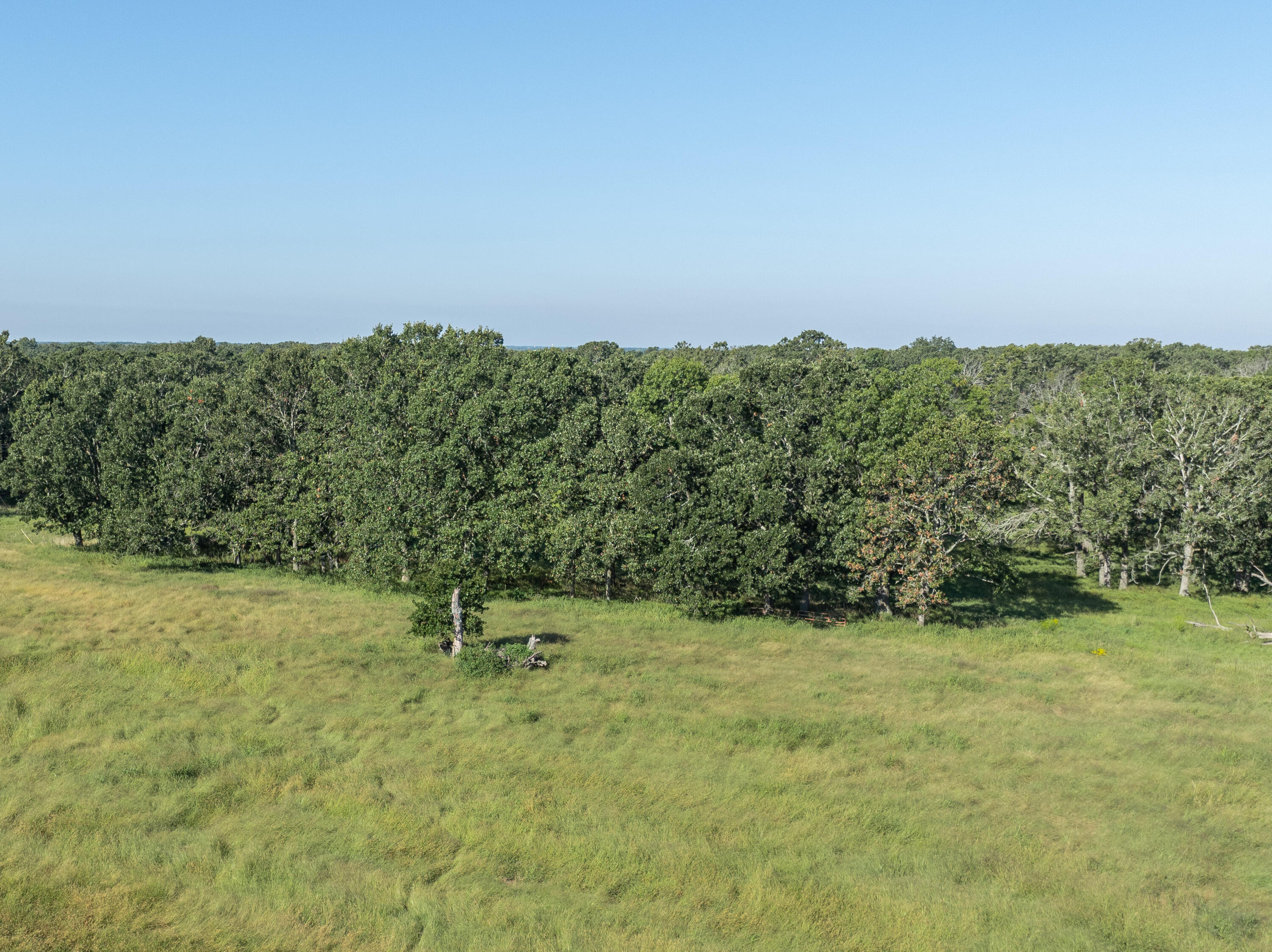 Photo 18 - Farm for sale – 2288  Red Oak Road  Fordland, MO