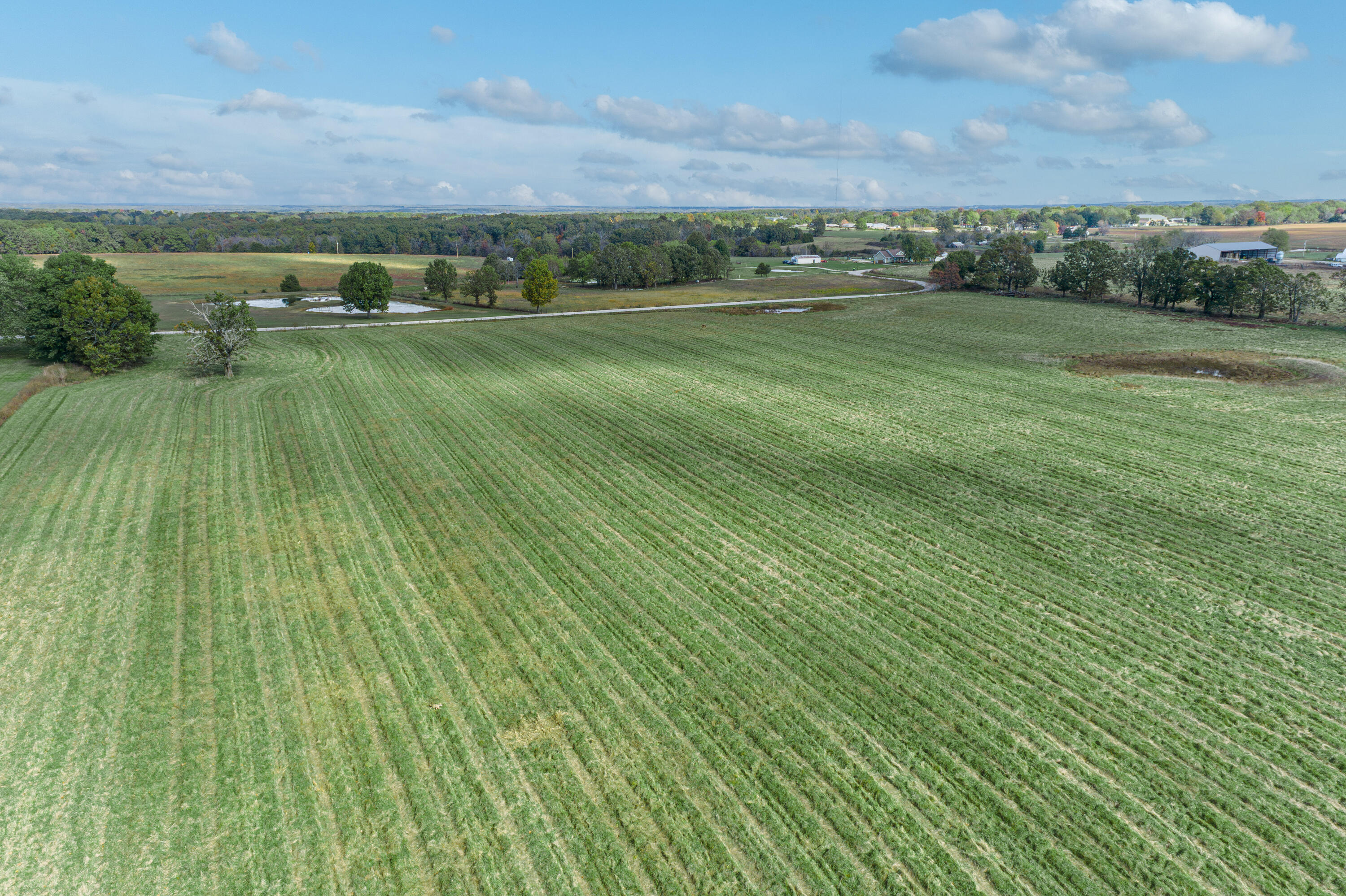 Photo 44 - Farm for sale – 2288  Red Oak Road  Fordland, MO