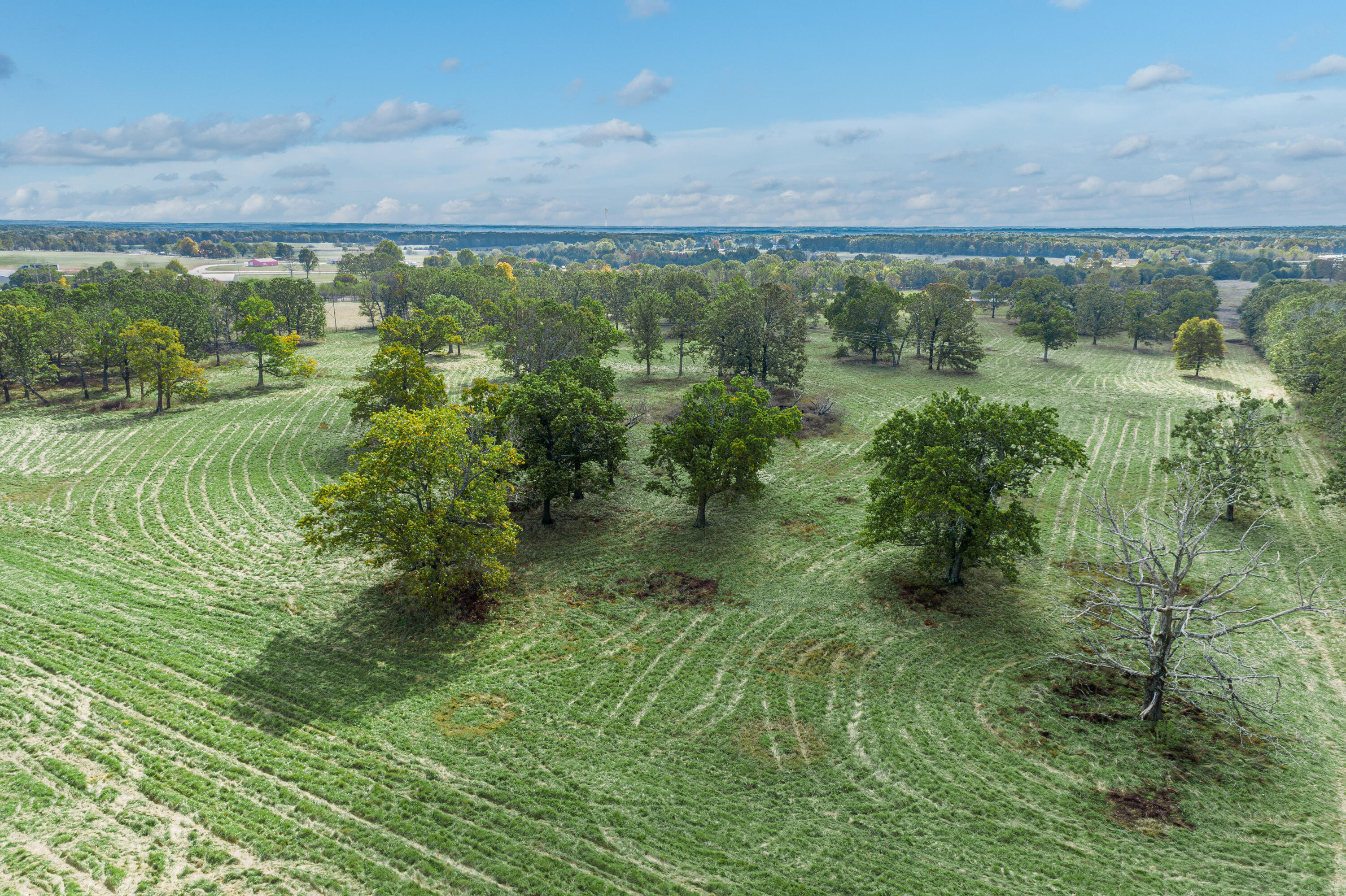Photo 43 - Farm for sale – 2288  Red Oak Road  Fordland, MO