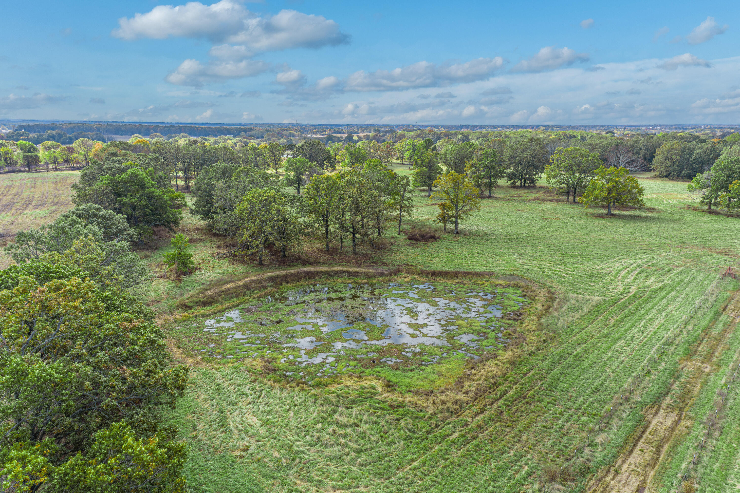 Photo 39 - Farm for sale – 2288  Red Oak Road  Fordland, MO