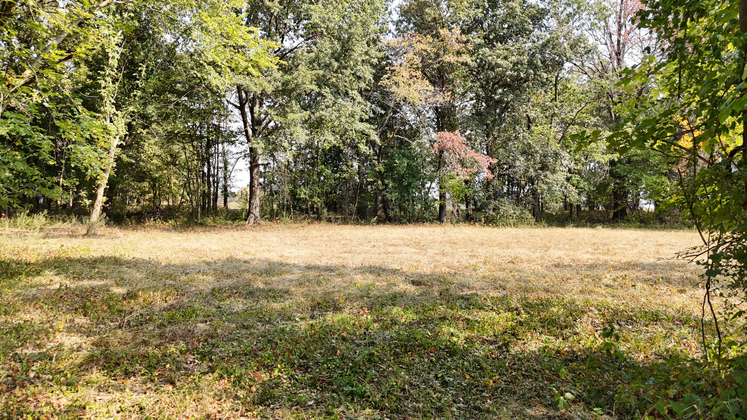 Photo 3 - Land for sale – 000 E Lindon Street  Bolivar, MO