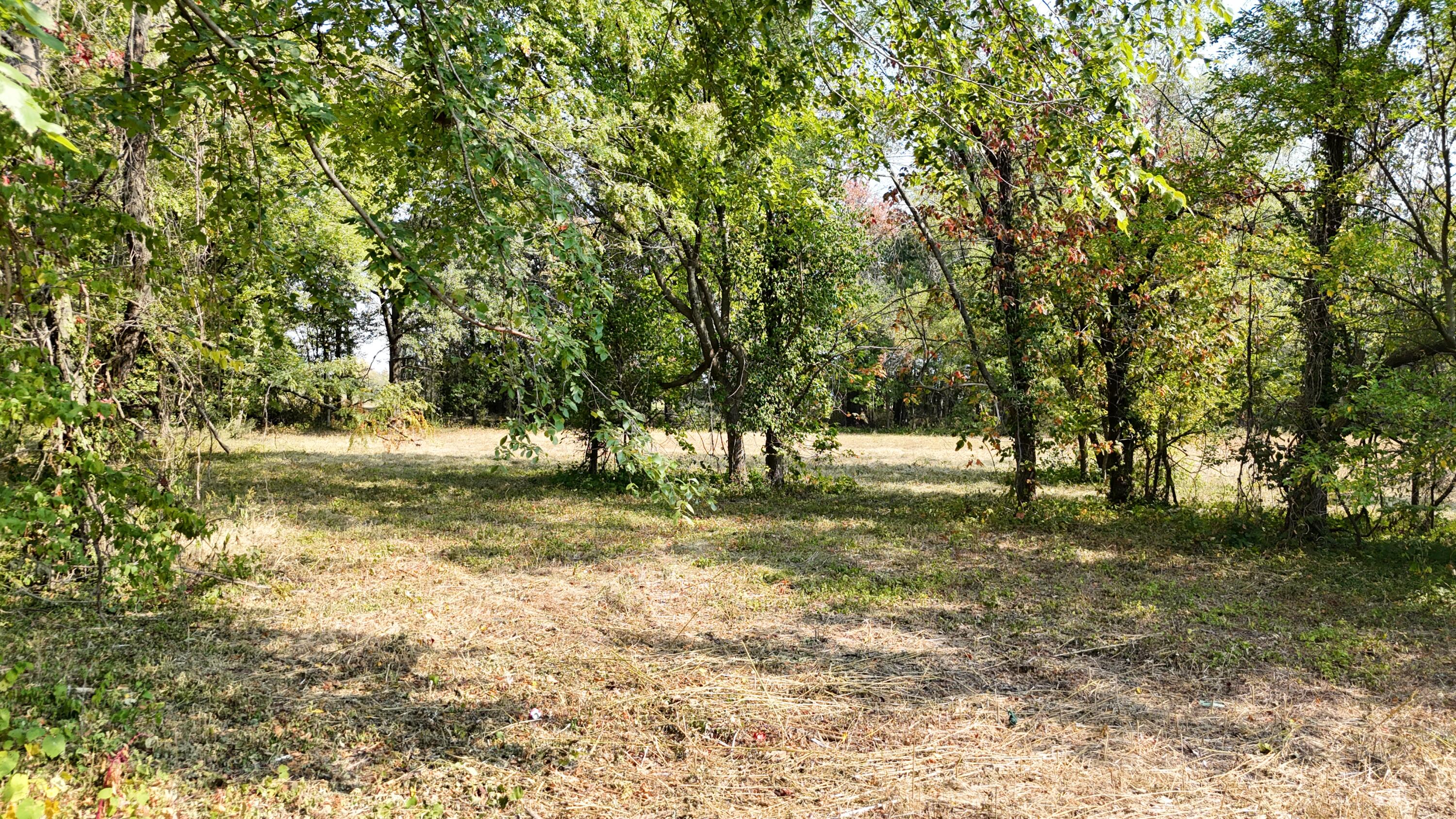 Photo 2 - Land for sale – 000 E Lindon Street  Bolivar, MO