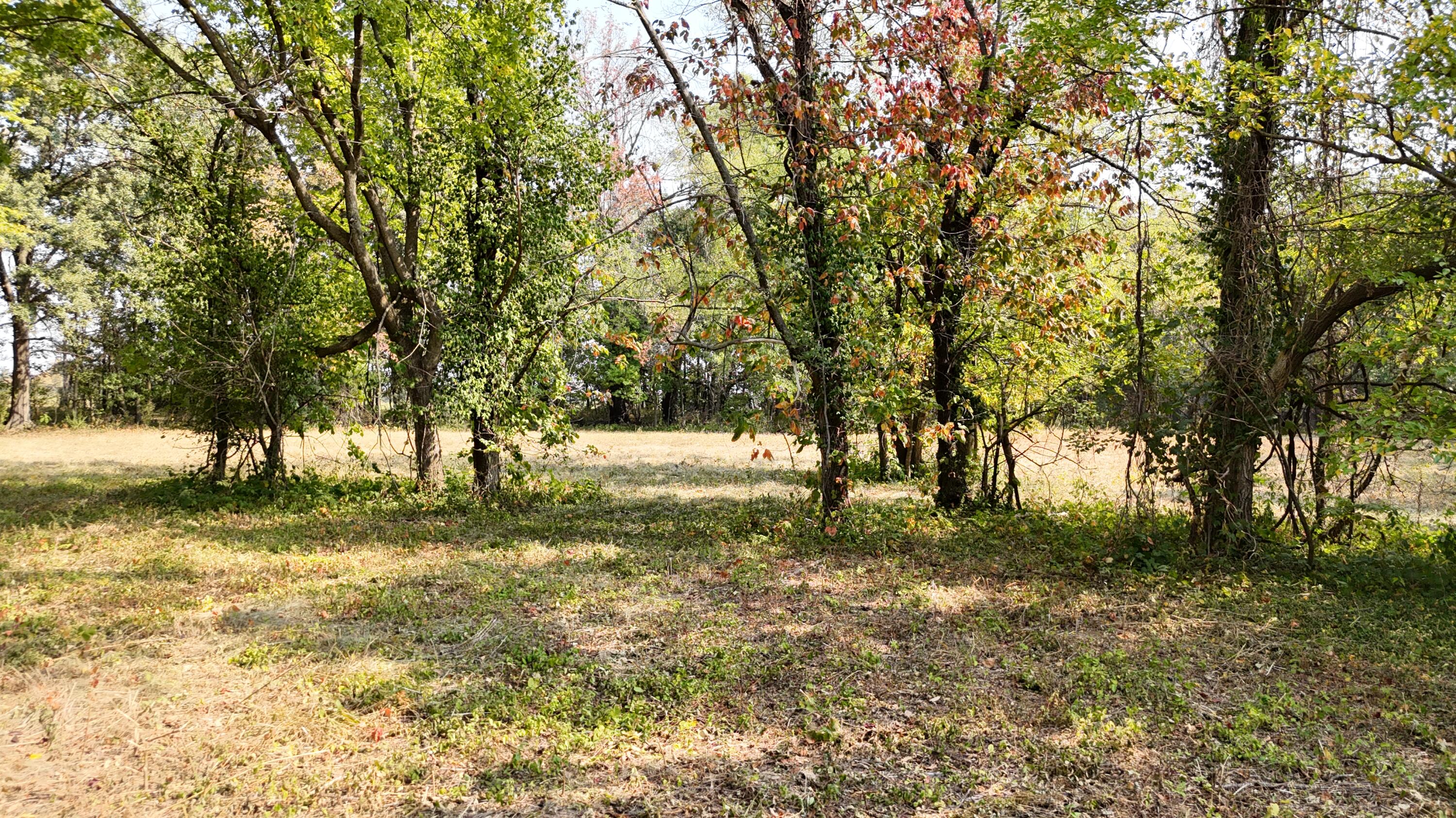 Photo 4 - Land for sale – 000 E Lindon Street  Bolivar, MO