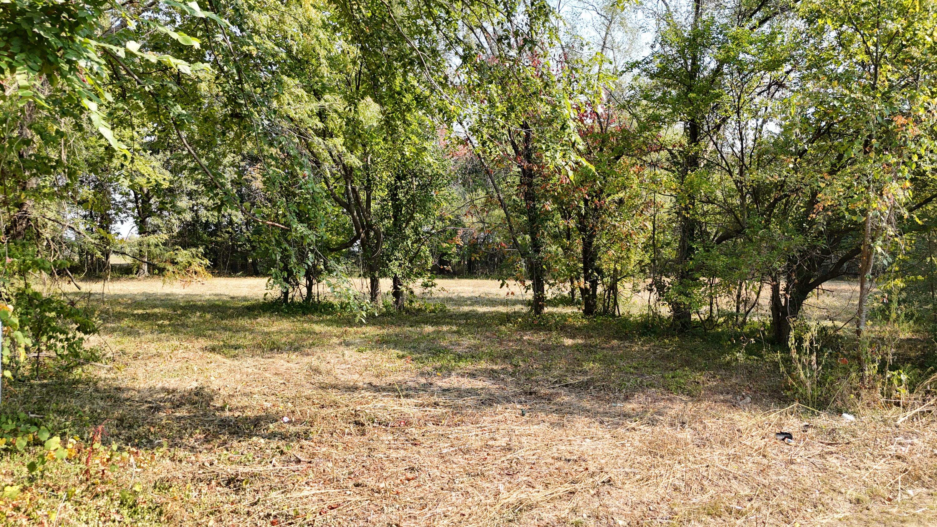 Land for sale – 000 E Lindon Street  Bolivar, MO
