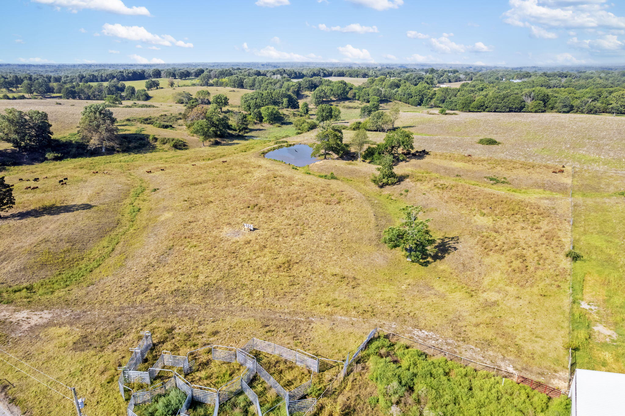 Photo 9 - Land for sale – 921  Us Hwy 160   Reeds Spring, MO
