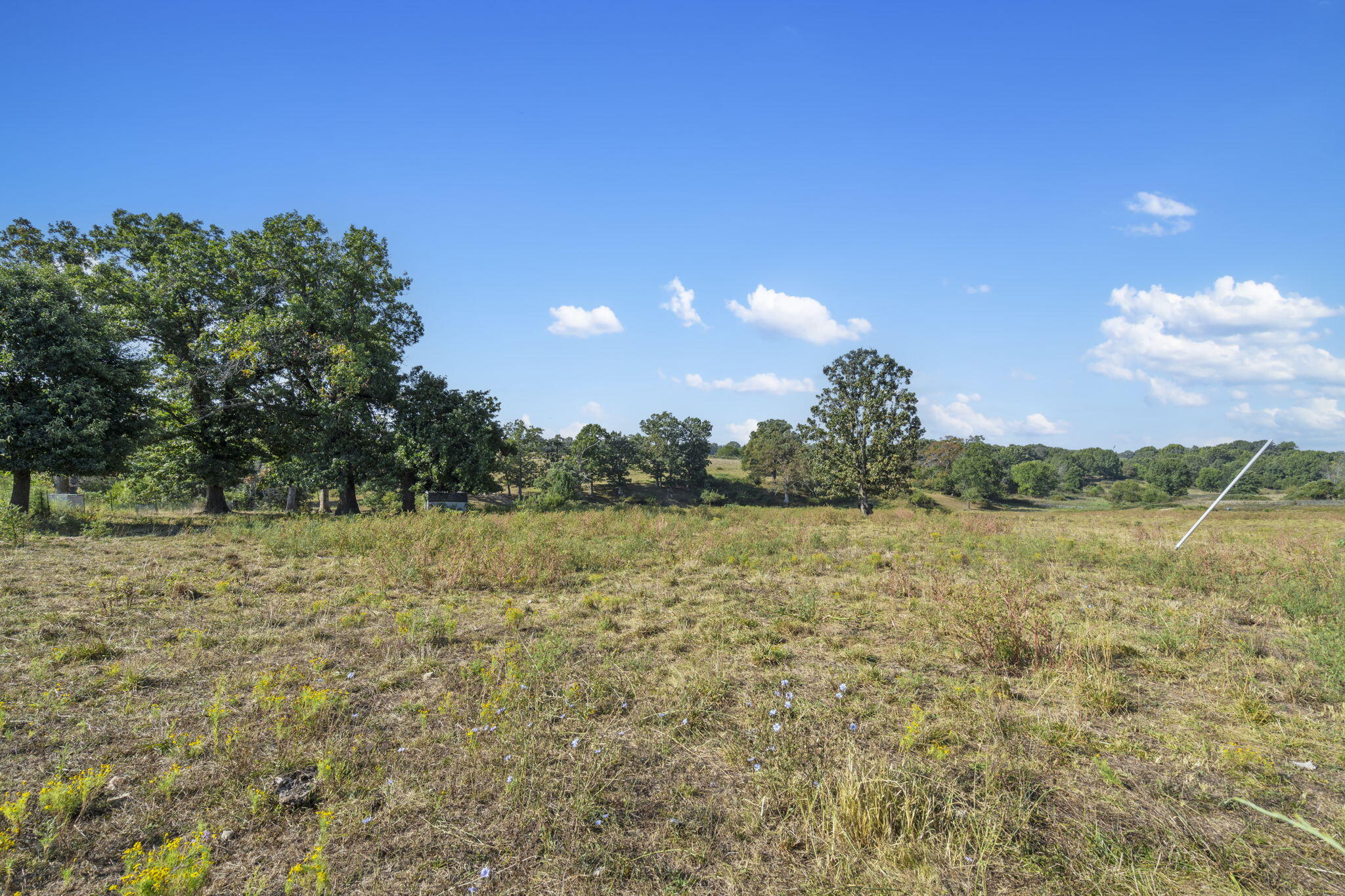 Photo 20 - Land for sale – 921  Us Hwy 160   Reeds Spring, MO