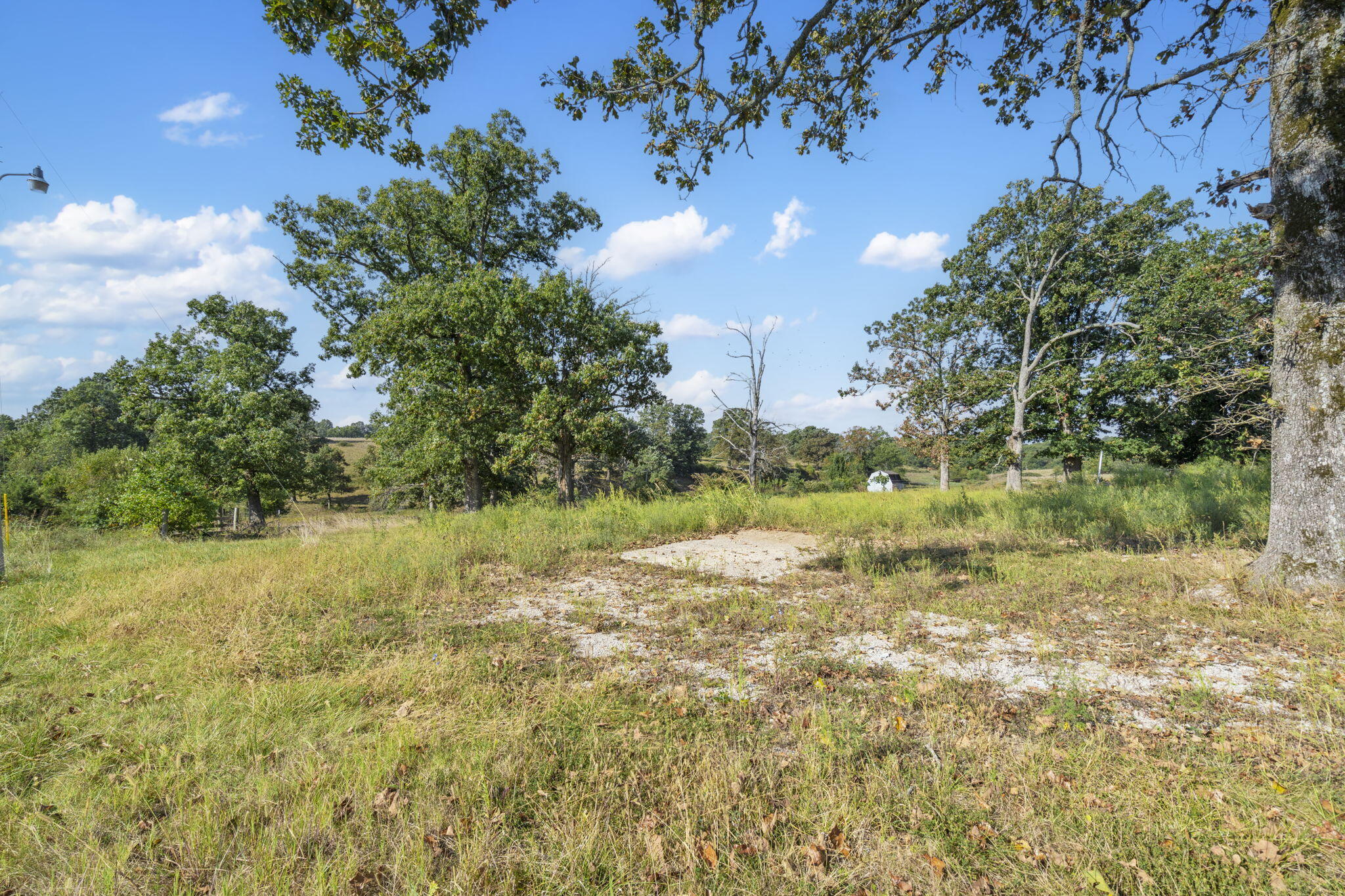 Photo 5 - Land for sale – 921  Us Hwy 160   Reeds Spring, MO