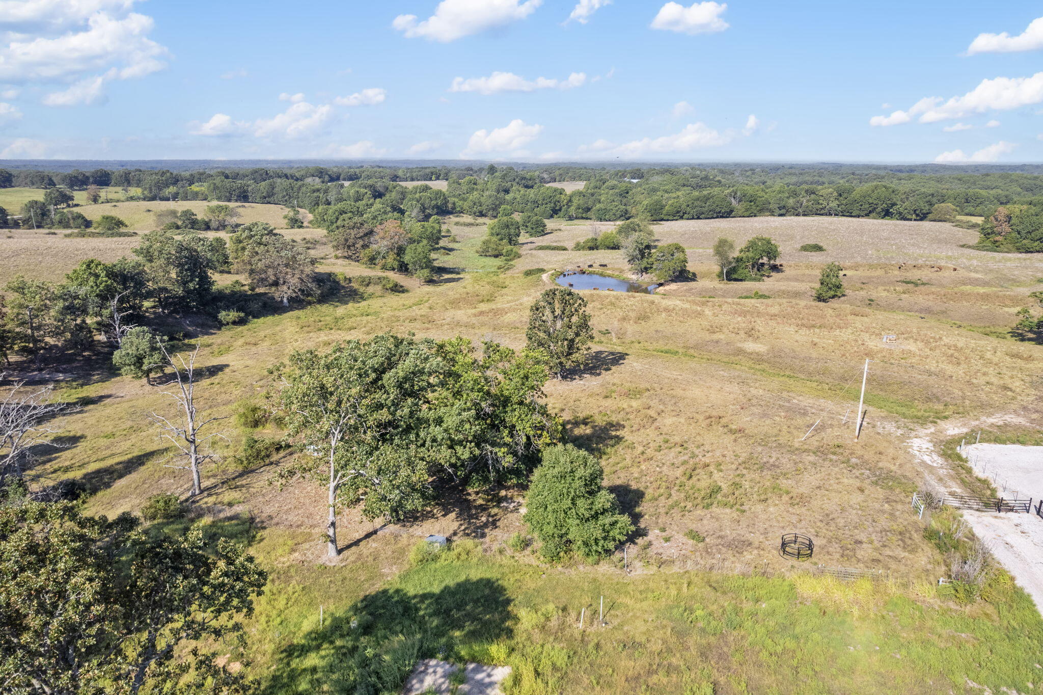 Photo 18 - Land for sale – 921  Us Hwy 160   Reeds Spring, MO