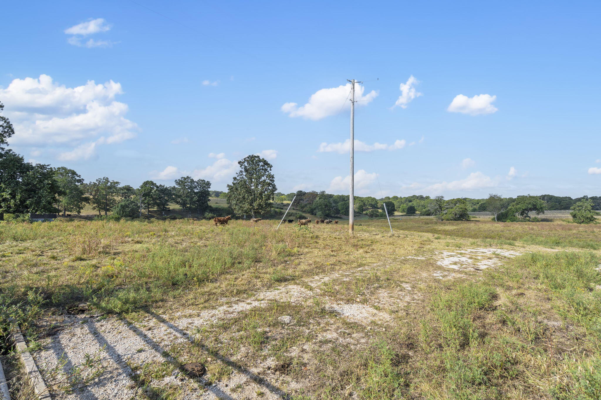Photo 6 - Land for sale – 921  Us Hwy 160   Reeds Spring, MO