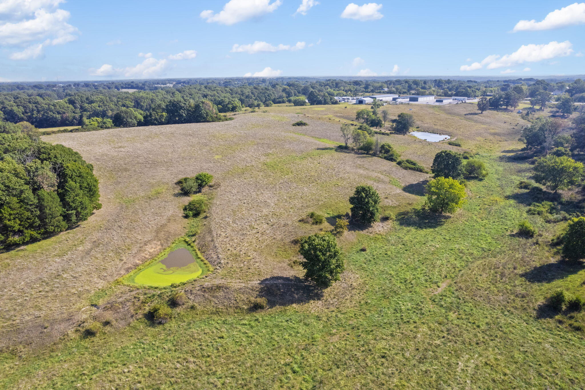 Photo 11 - Land for sale – 921  Us Hwy 160   Reeds Spring, MO