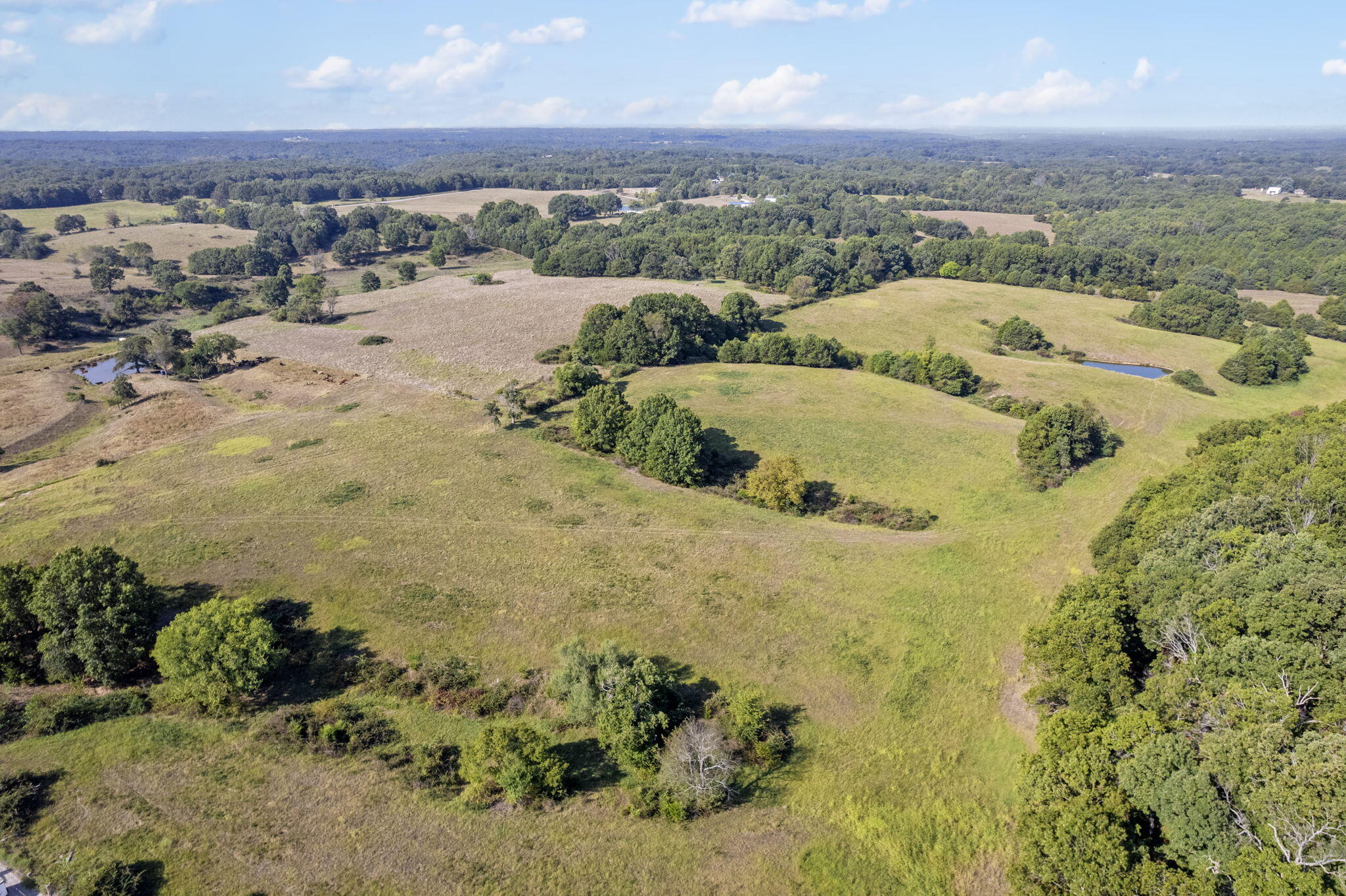 Photo 13 - Land for sale – 921  Us Hwy 160   Reeds Spring, MO