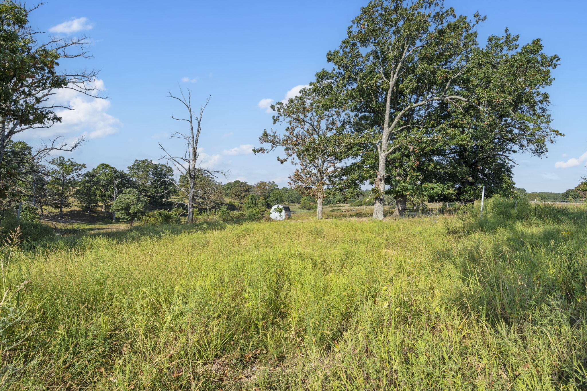 Photo 21 - Land for sale – 921  Us Hwy 160   Reeds Spring, MO