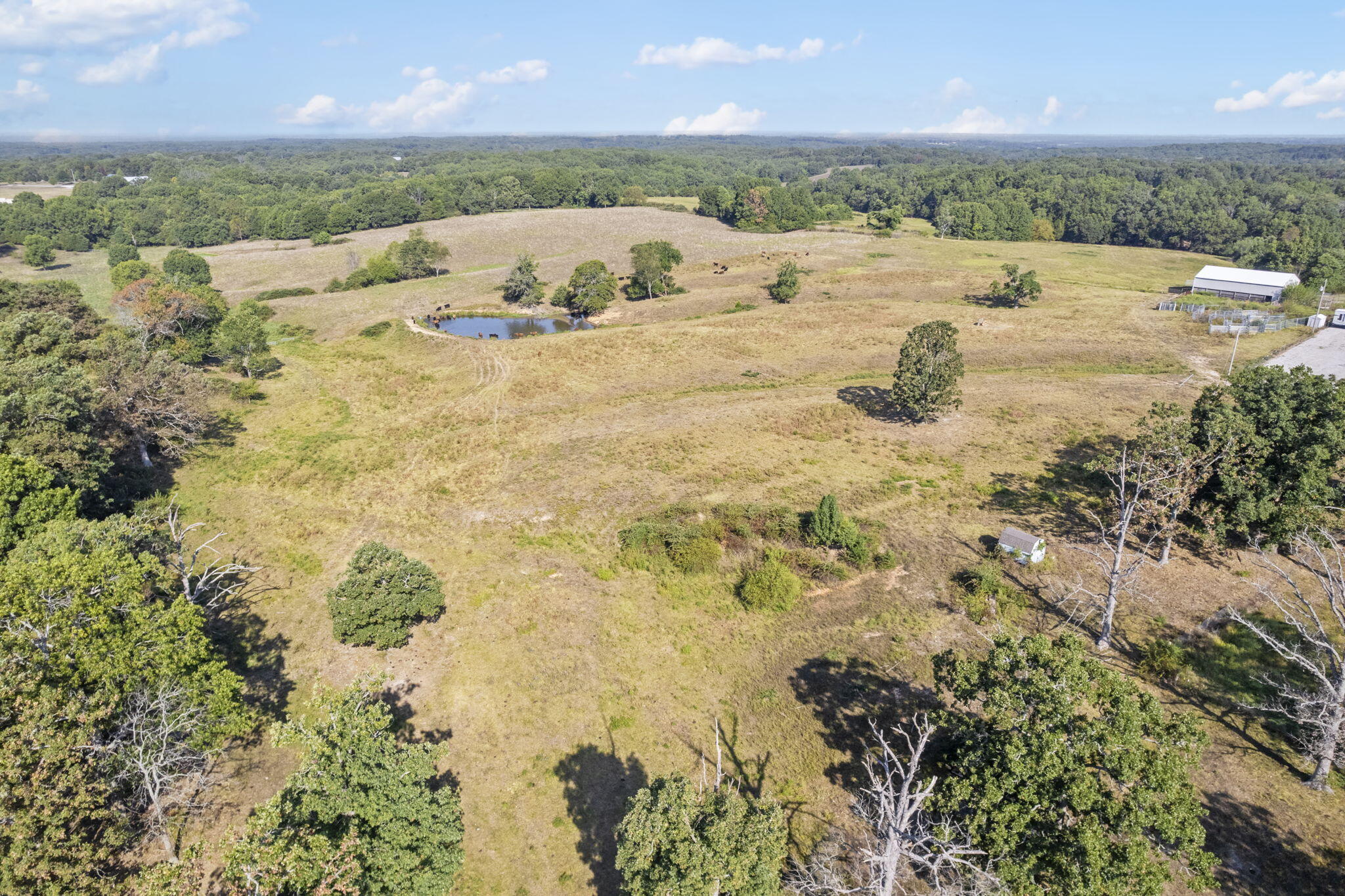 Photo 17 - Land for sale – 921  Us Hwy 160   Reeds Spring, MO