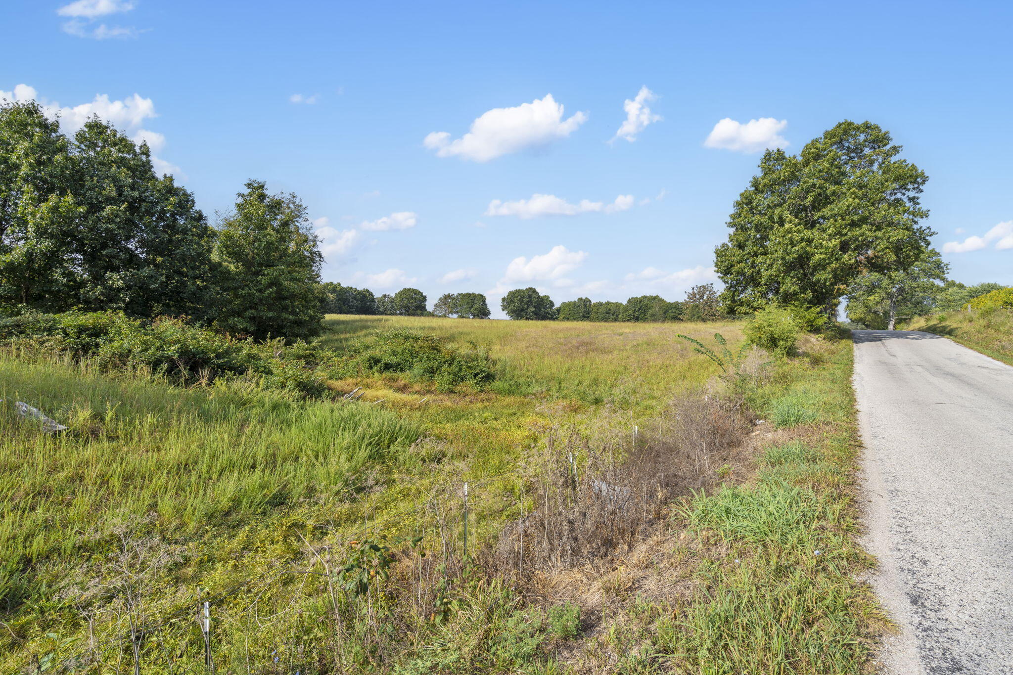 Photo 13 - Land for sale – 808  Coon Ridge Road  Galena, MO