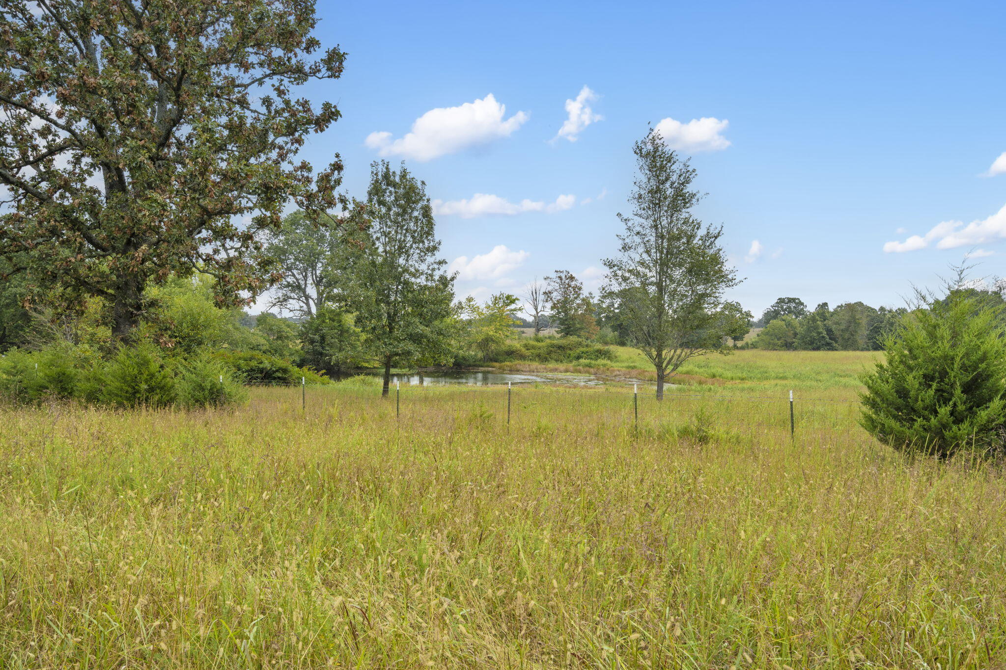 Photo 17 - Land for sale – 808  Coon Ridge Road  Galena, MO