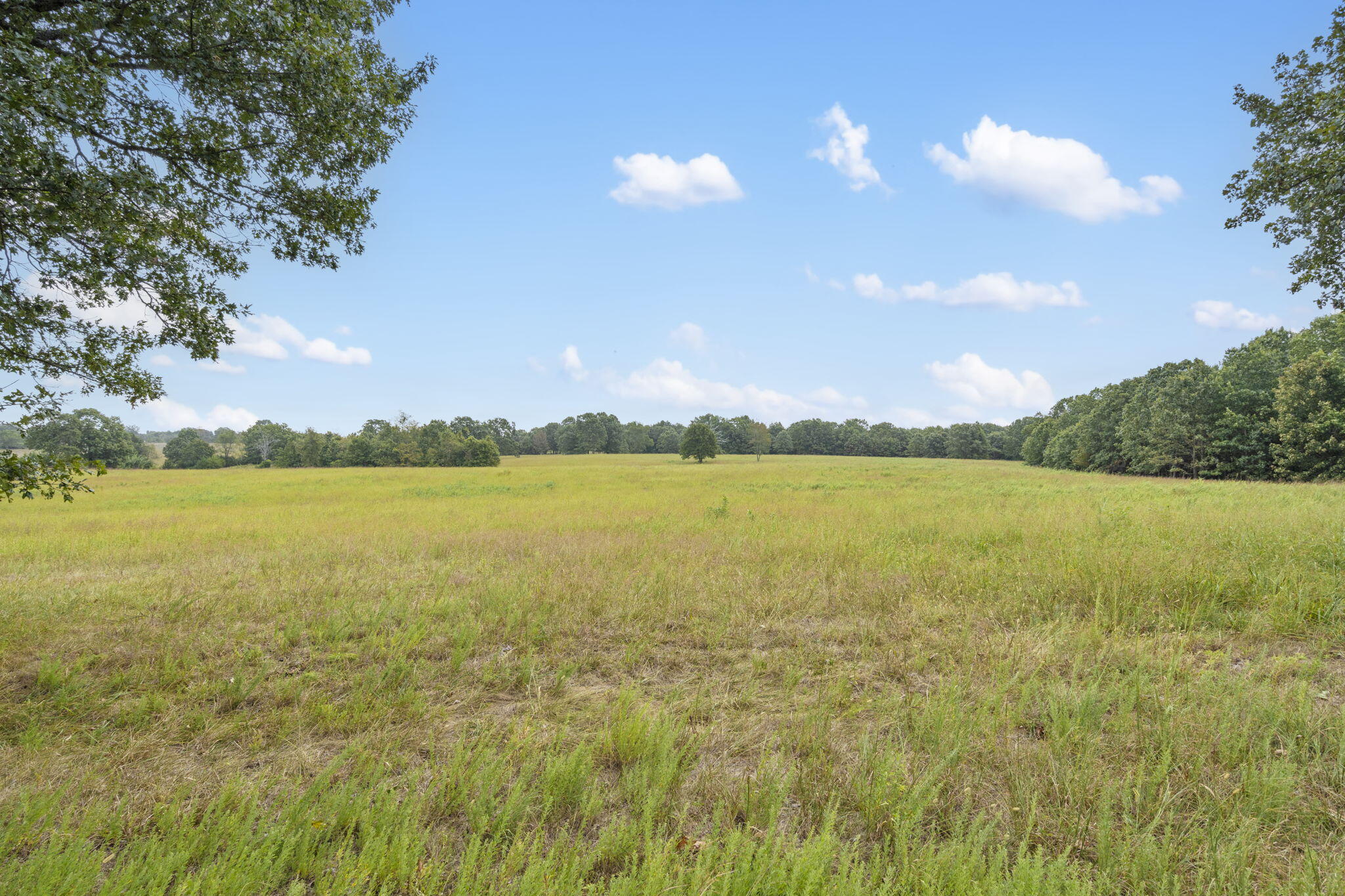 Photo 15 - Land for sale – 808  Coon Ridge Road  Galena, MO